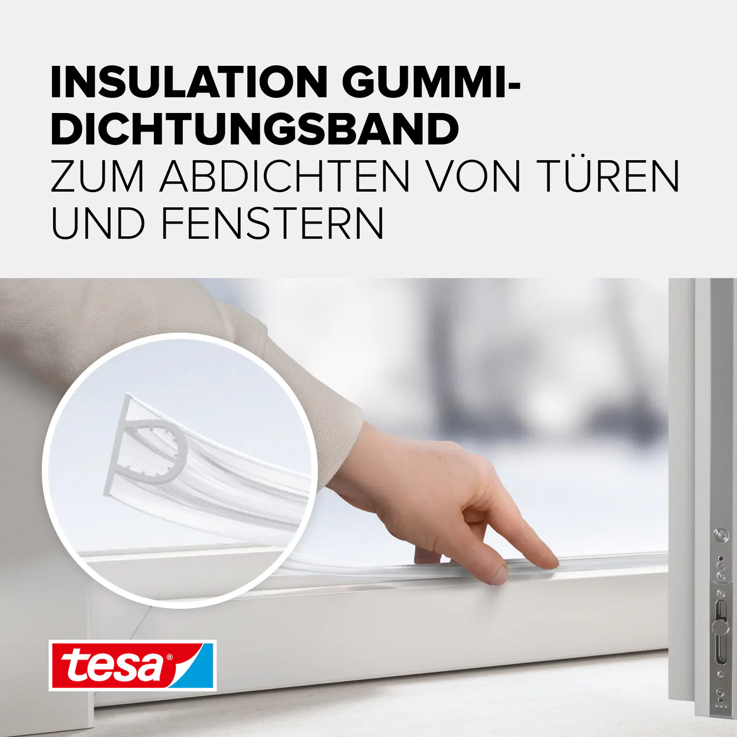 tesa Moll Dichtungsprofil Super Flex 6 m, transparent