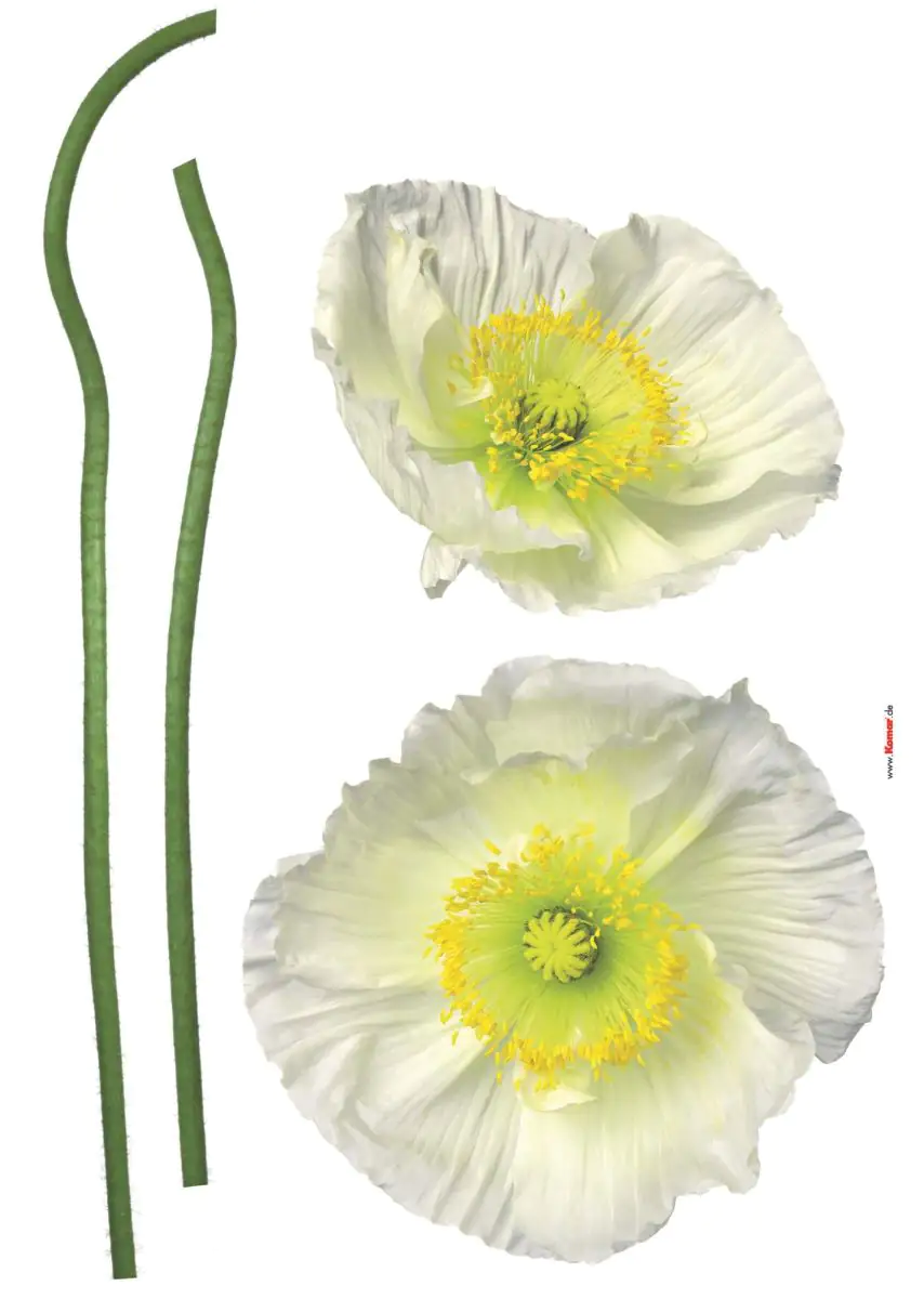 Komar Decosticker Pavot Blanc 50 x 70 cm