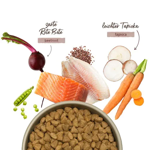 Bosch Hundetrockenfutter Adult Menue 12 kg Lachs & Forelle 