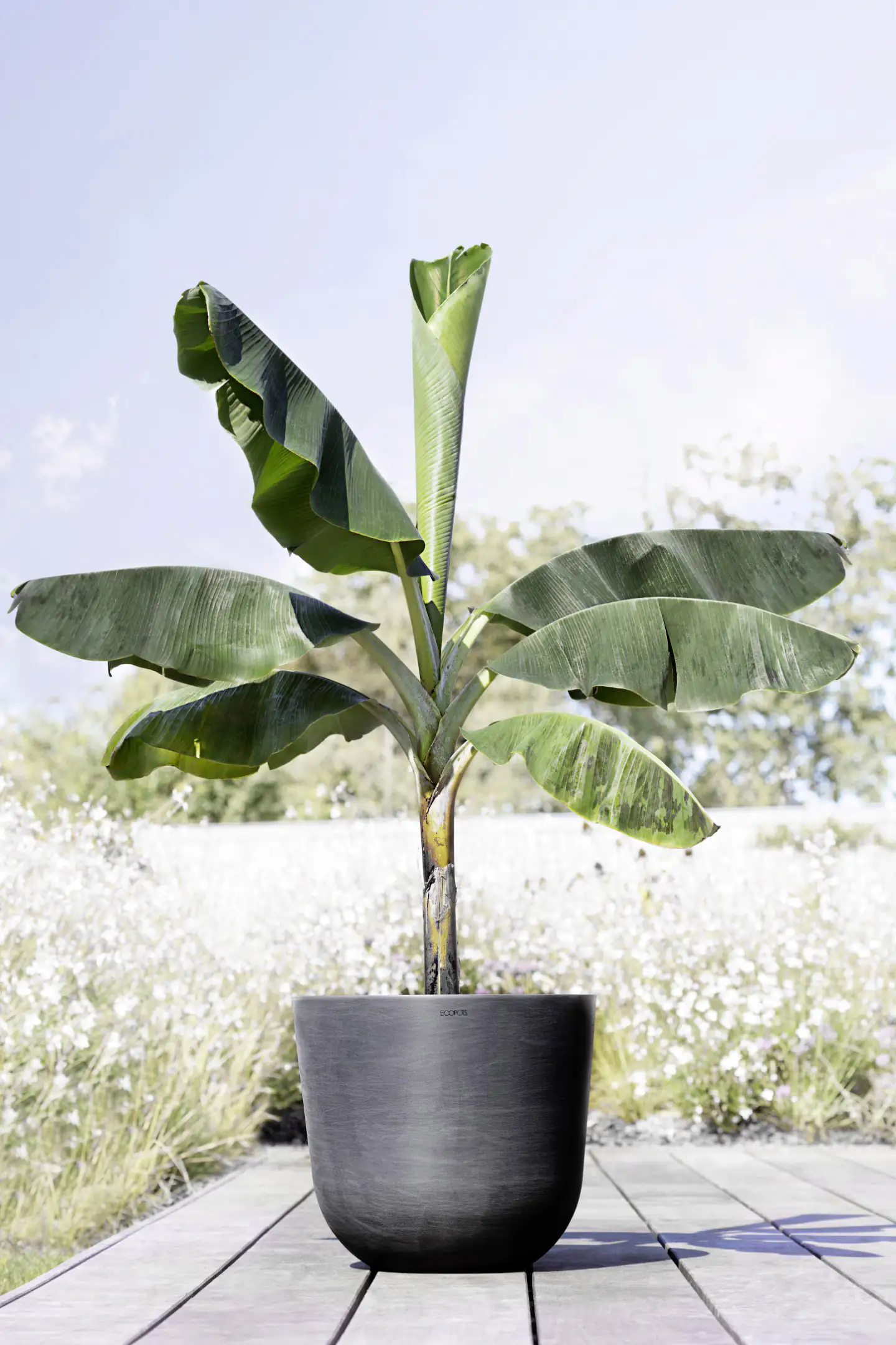 Ecopots Pflanztopf Oslo Ø 45 x 39,2 cm dunkelgrau