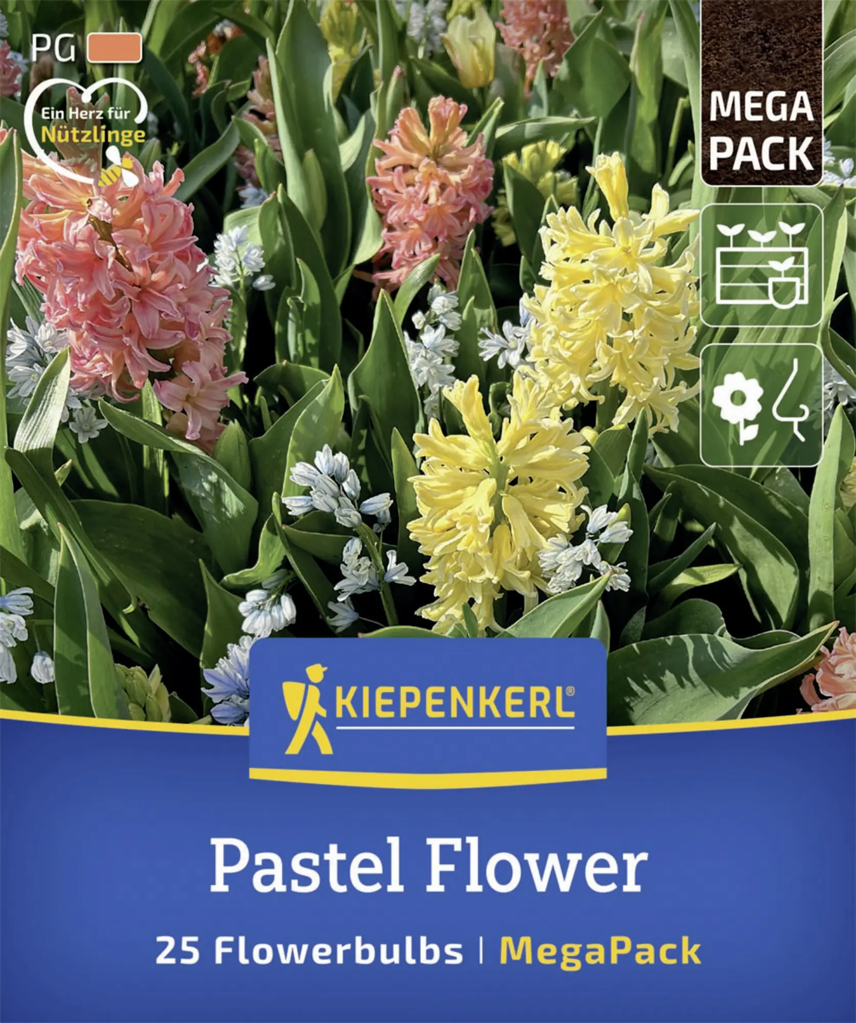 Kiepenkerl Herbstblumenzwiebelmischung Mega-Pack Pastel Flower 25 Stück