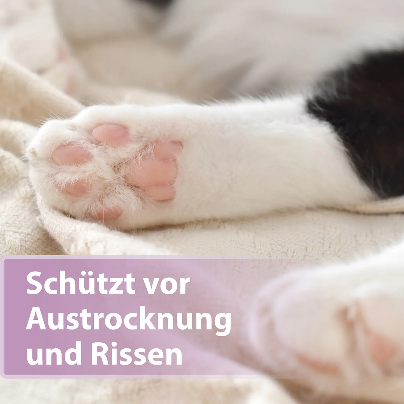 Felisept Pfotenpflege für Katzen 75 g