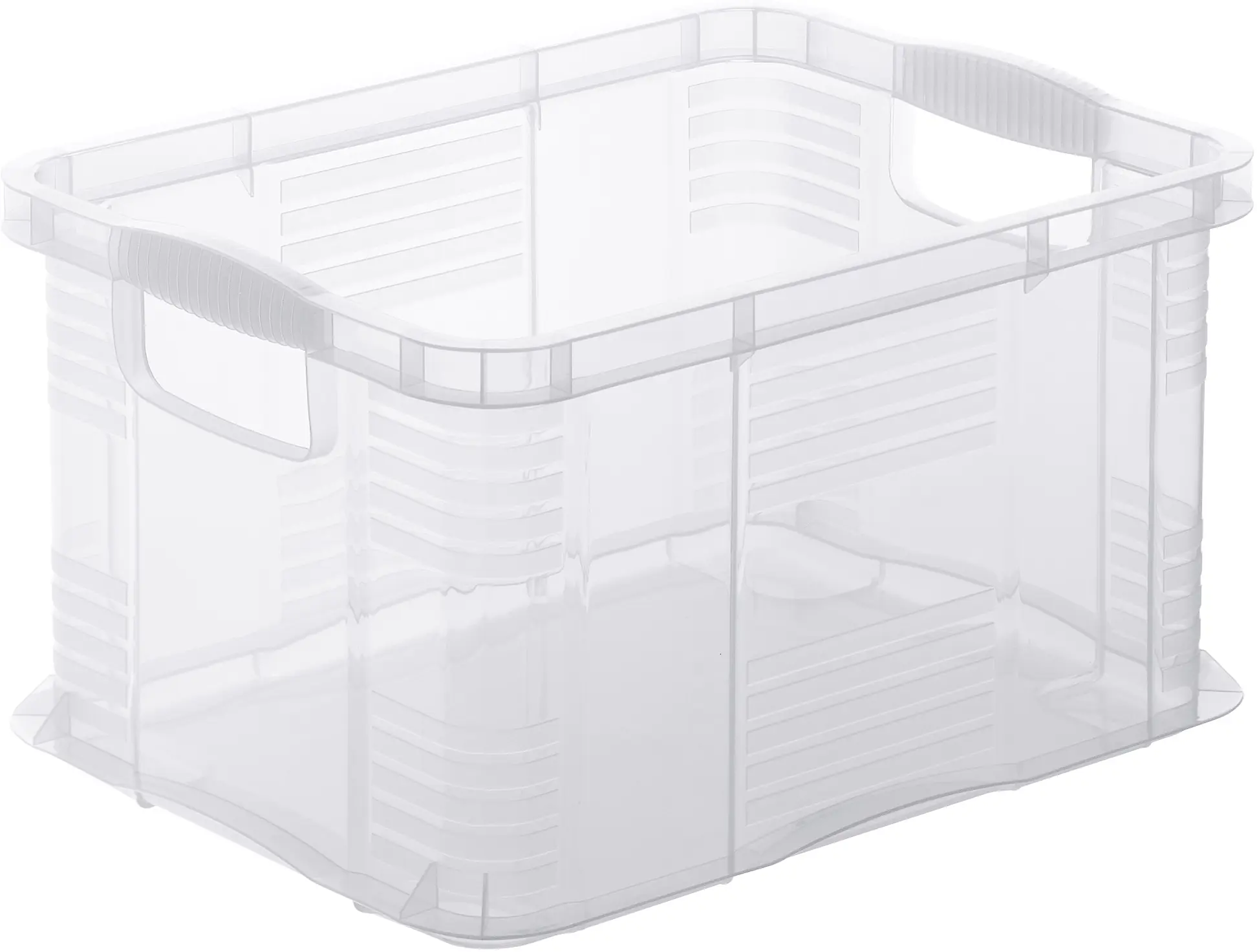 Rotho Aufbewahrungsbox Agilo 39 x 29 cm 17,5 L transparent