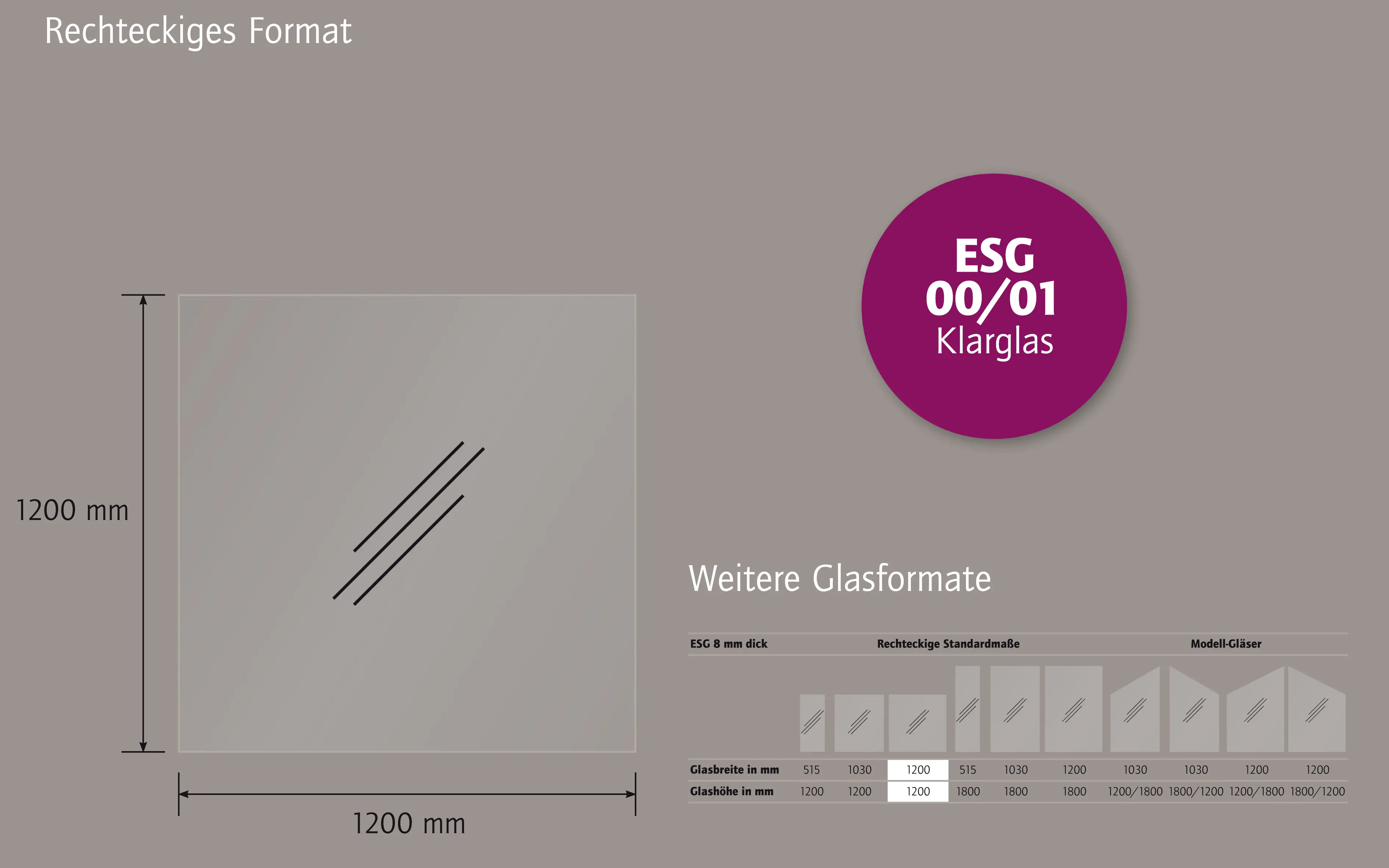 Ambiente Glaszaun Dekor 00/01 120 x 120 cm gehärtetes 8 mm Glas