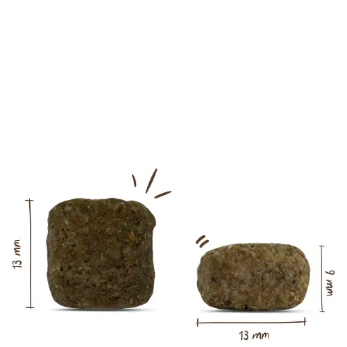 Bosch Hundetrockenfutter Adult 15 kg Geflügel 