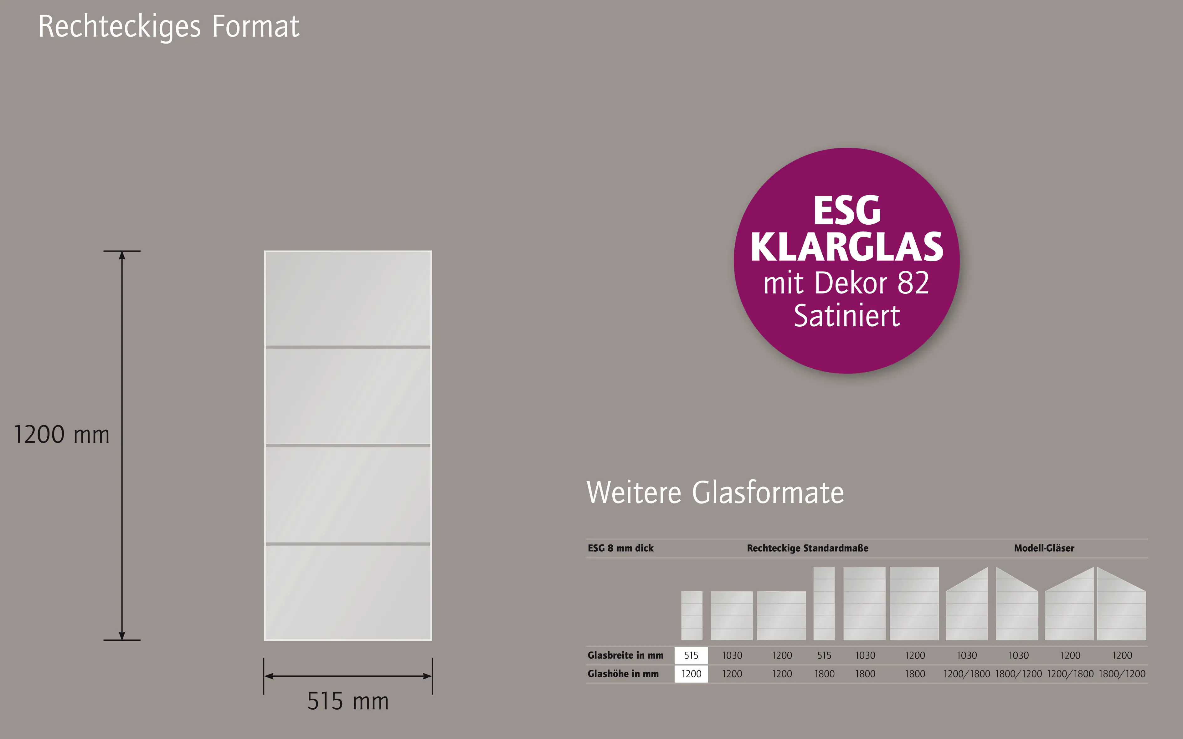 Ambiente Glaszaun Dekor 82 51,5 x 120 cm gehärtetes 8 mm Glas