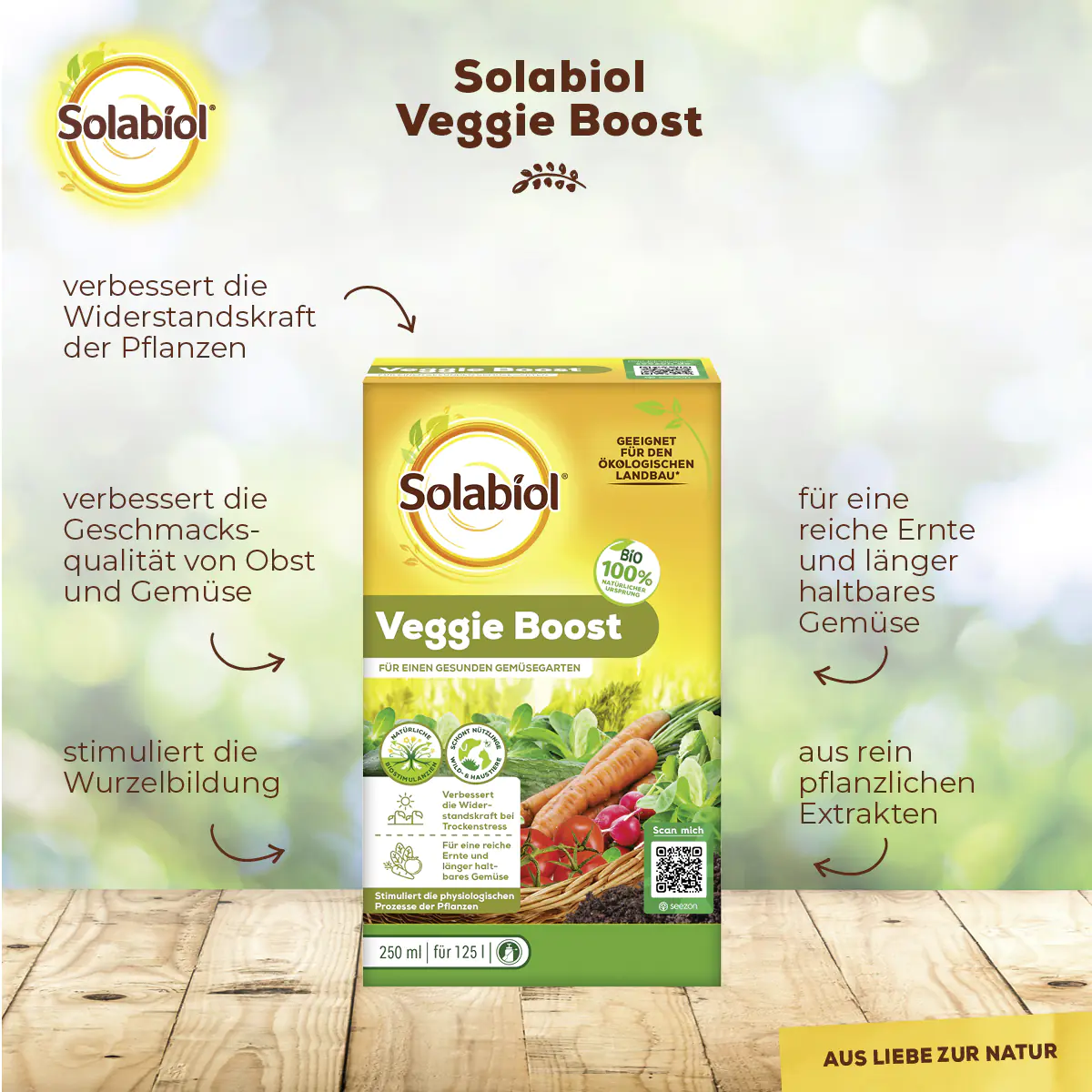 Solabiol Veggie Boost Pflanzenstärkungsmittel 250 ml