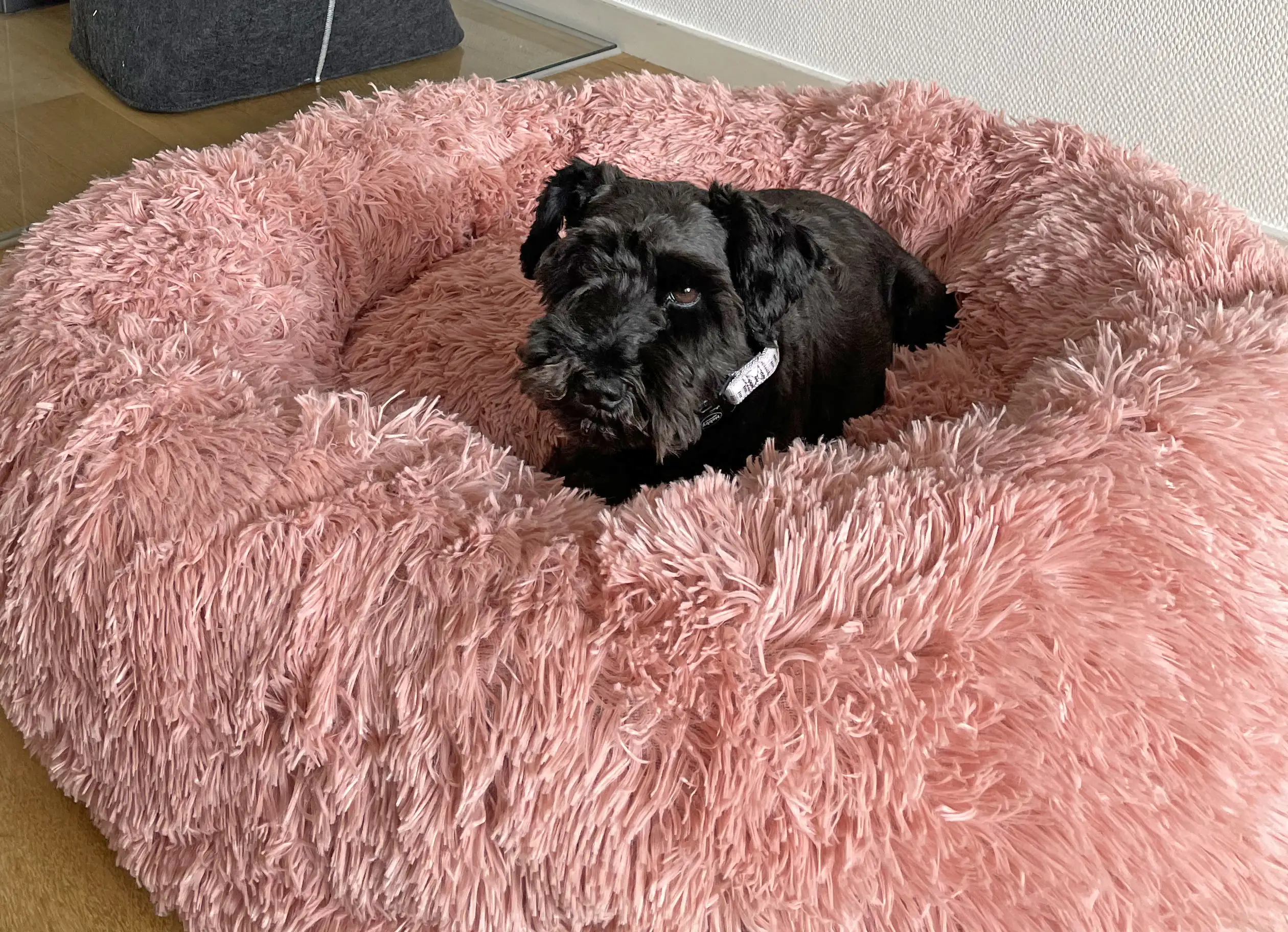 Nobby Hundebett & Katzenbett Donut Classic Esla Ø 50 cm altrosa