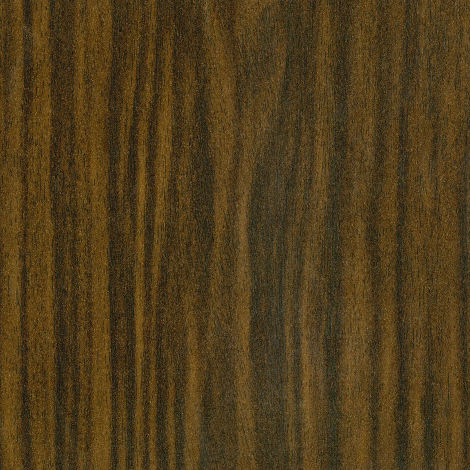 Neuhofer Fußleiste 240 cm x 58 x 19 mm dunkelbraun