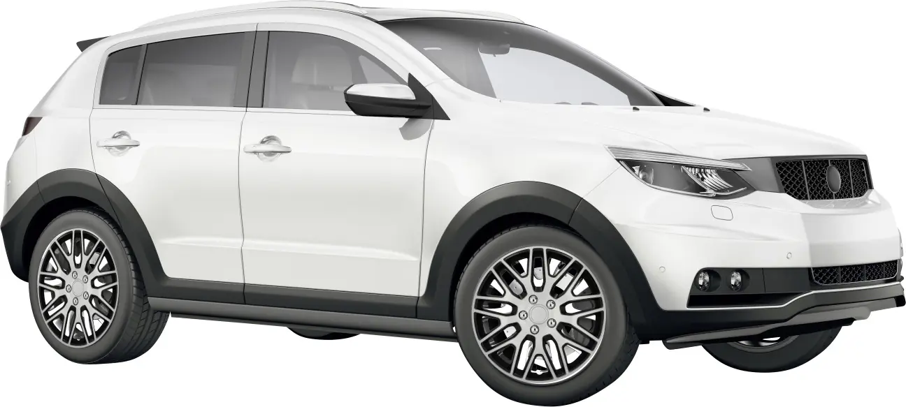 Cartrend Radzierblende Branch 38 cm (15 Zoll) silber schwarz 4 stück