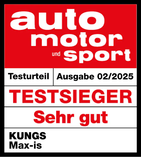 Kungs Max-is Eiskratzer mit Besen