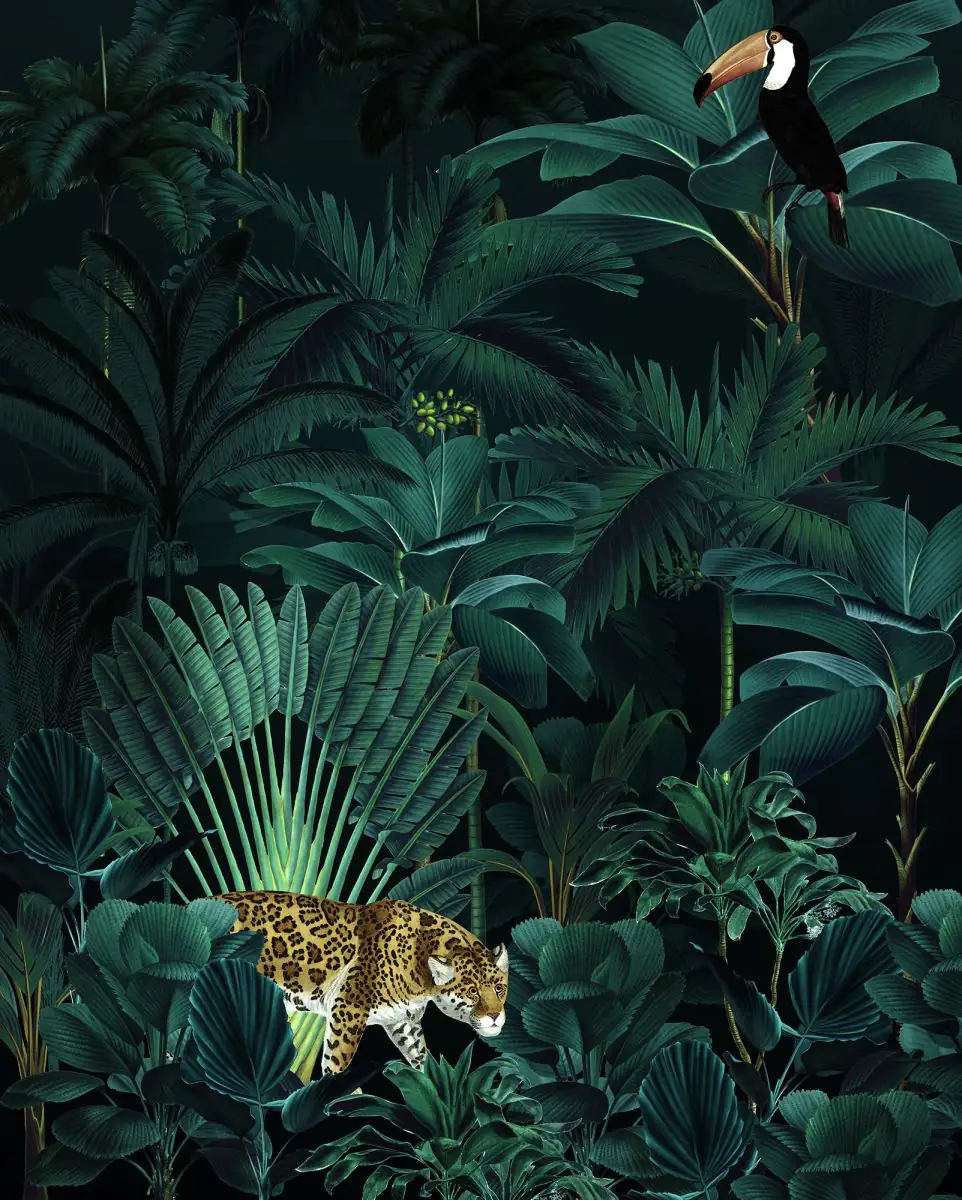 Komar Vlies Fototapete Jungle 200 x 250 cm 