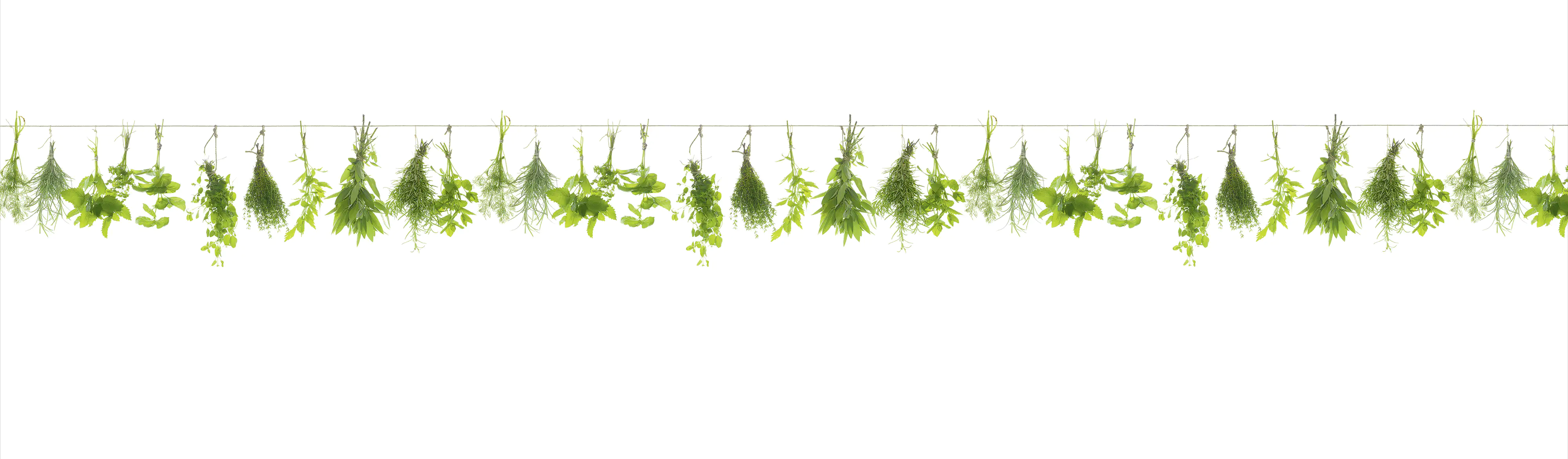 Küchenrückwand WandArt easy 200 x 58,5 cm, 3 mm, herbs line