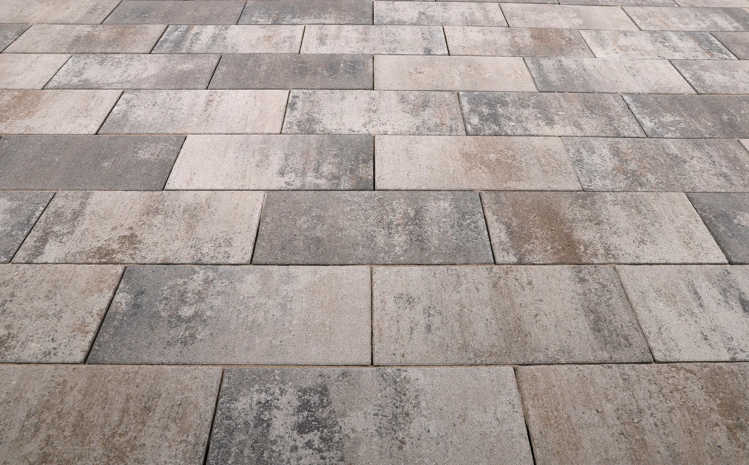 EHL Terrassenplatte Artano 40 x 20 x 4 cm muschelkalk