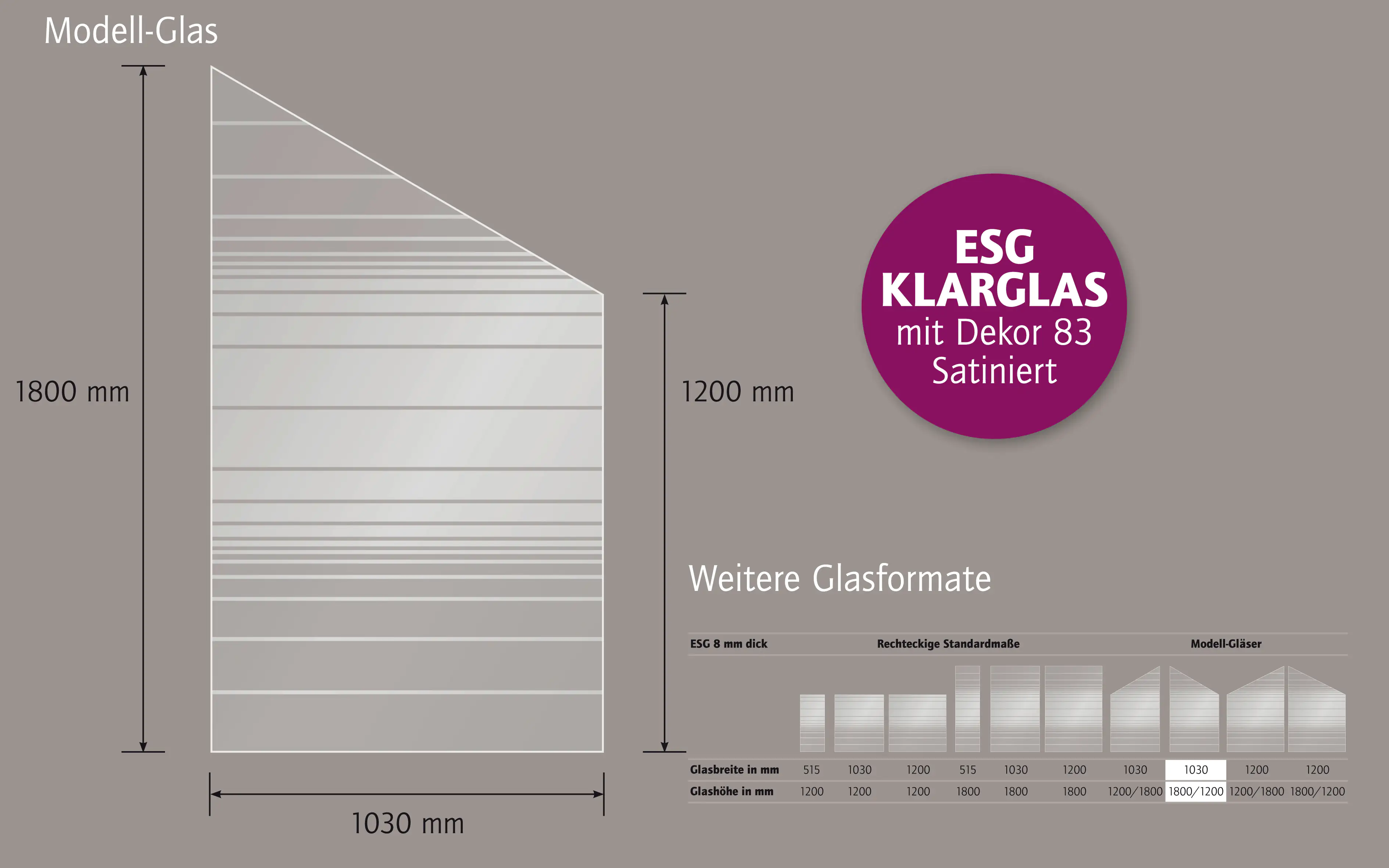 Ambiente Glaszaun Dekor 83 schräg 103 x 180/120 cm gehärtetes 8 mm Glas