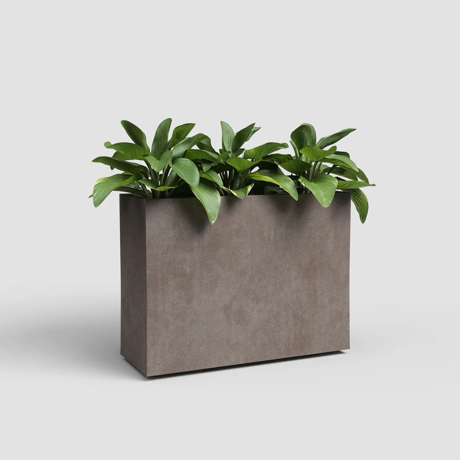 Artevasi Blumenkasten Sydney Kunststoff 80 x 68 cm taupe