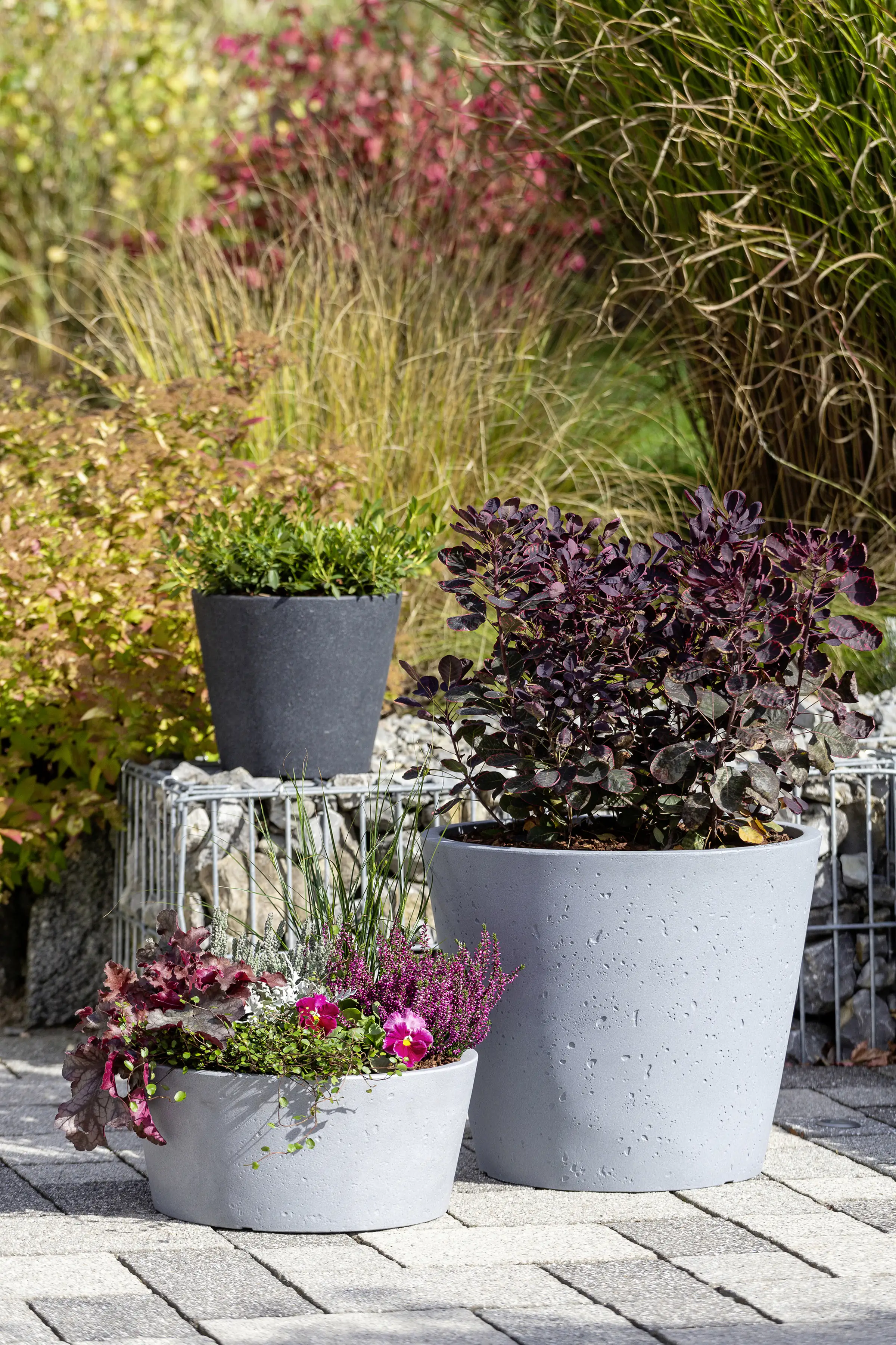 Scheurich Pflanzschale C-Cone Serie 239 granit-grau Ø 40 cm