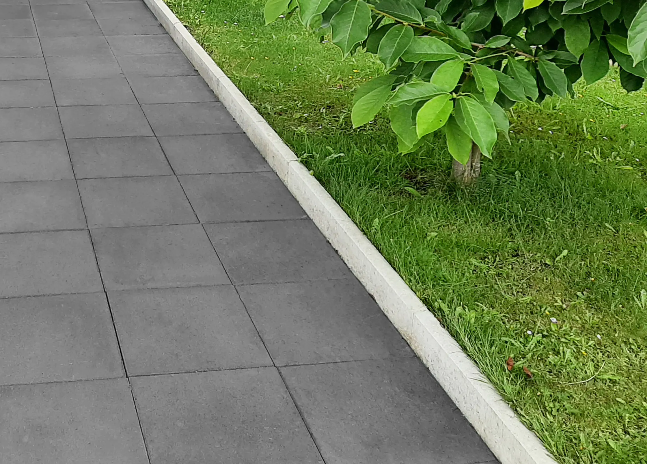 EHL Rasenkantenstein abgerundet 100 x 15 x 5 cm grau