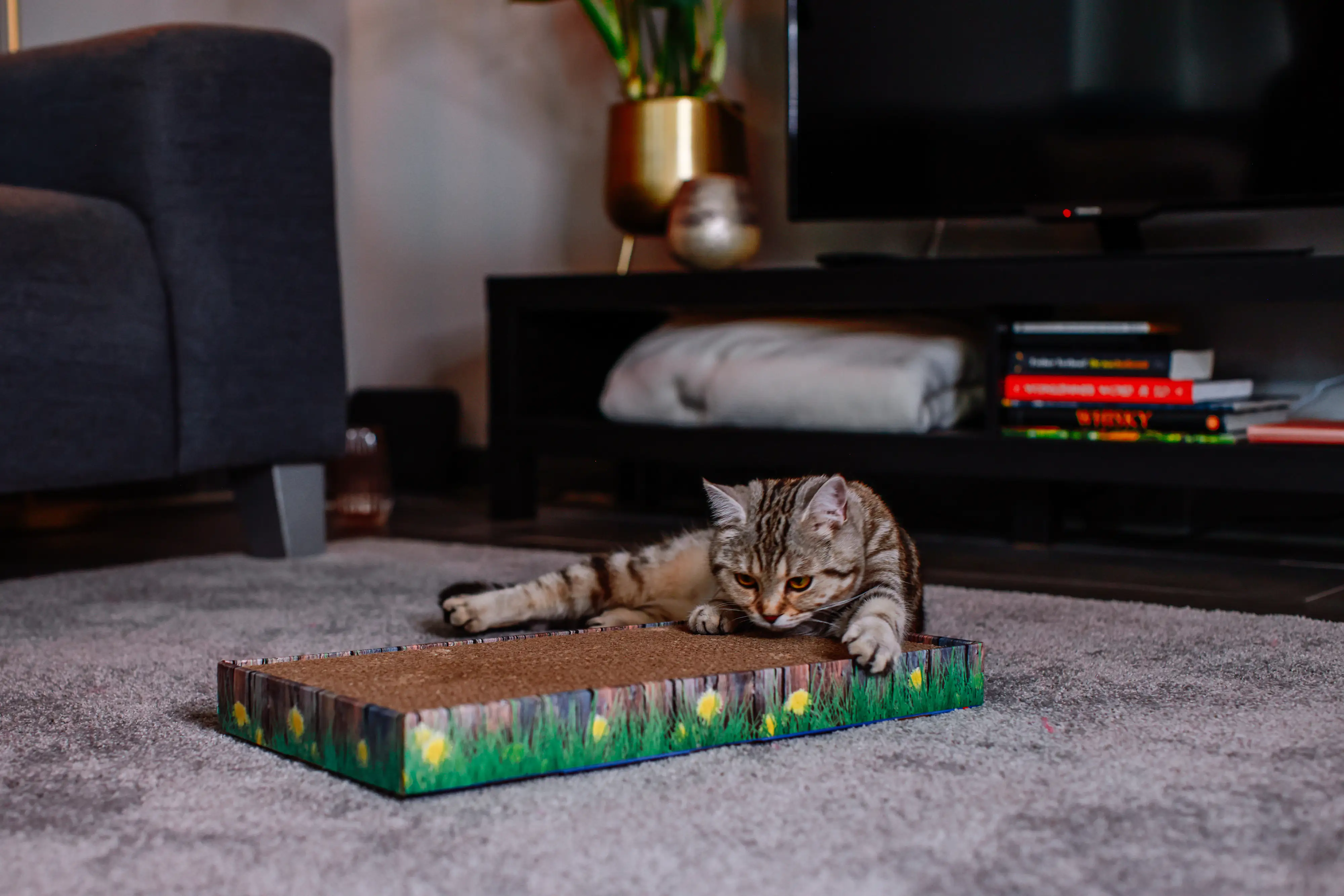 Nobby Katzen Kratzbrett Pappe 48 x 25 cm braun