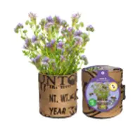 Baza Seeds Nützlingsblumen Ringelblume 