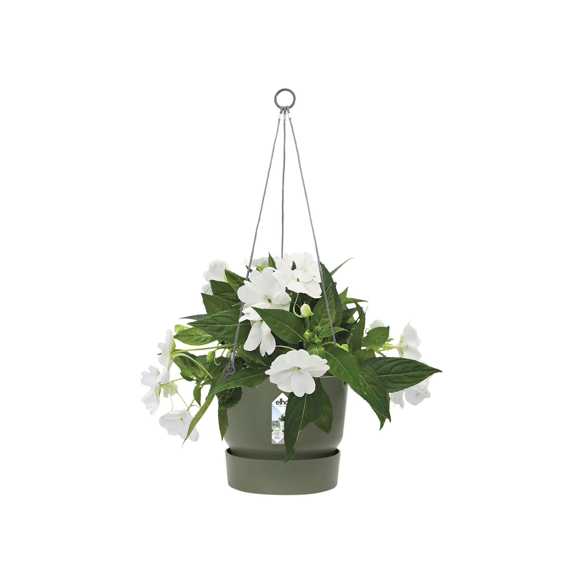 Elho Hängeampel Greenville laubgrün Ø 24 cm