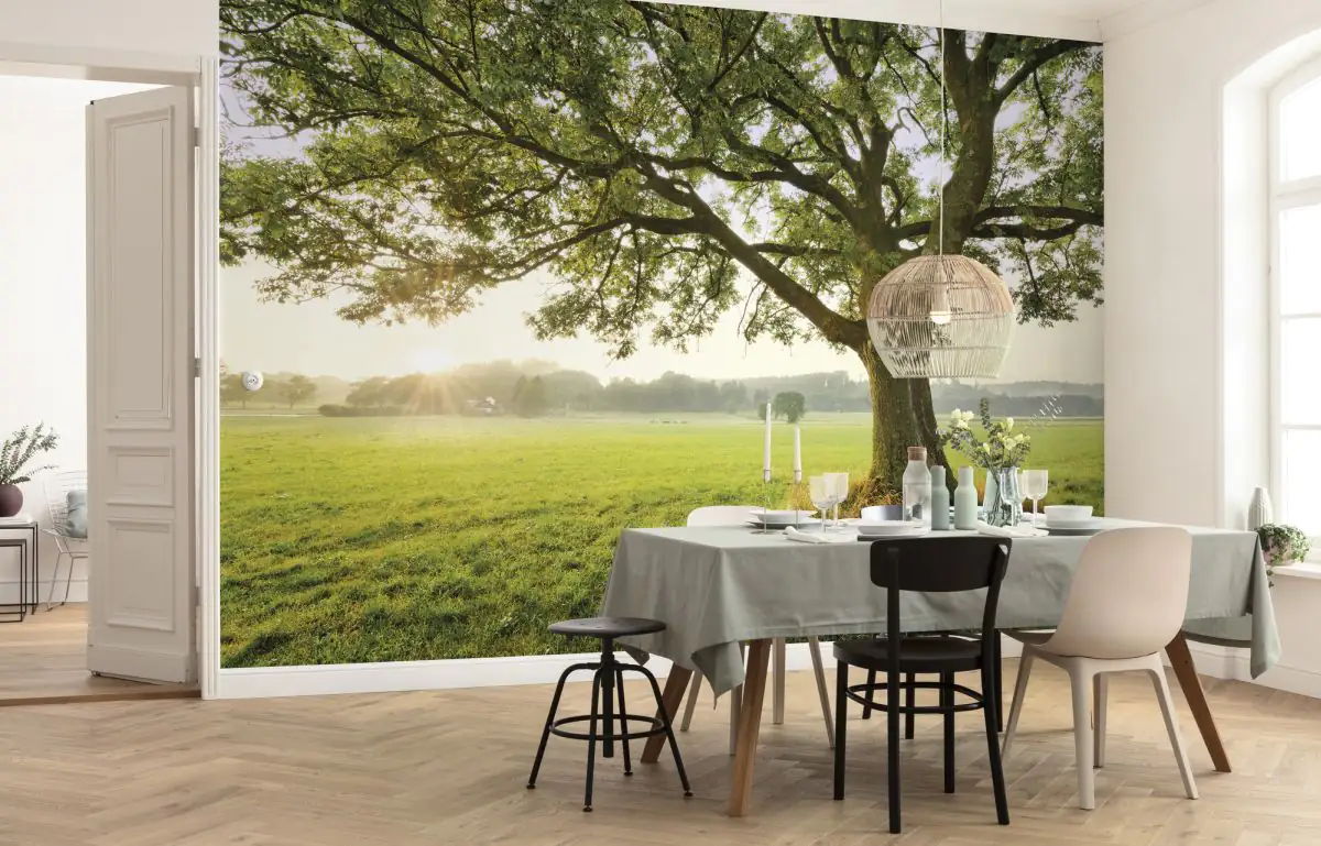 Komar Vlies Fototapete The Magic Tree 450 x 280 cm 