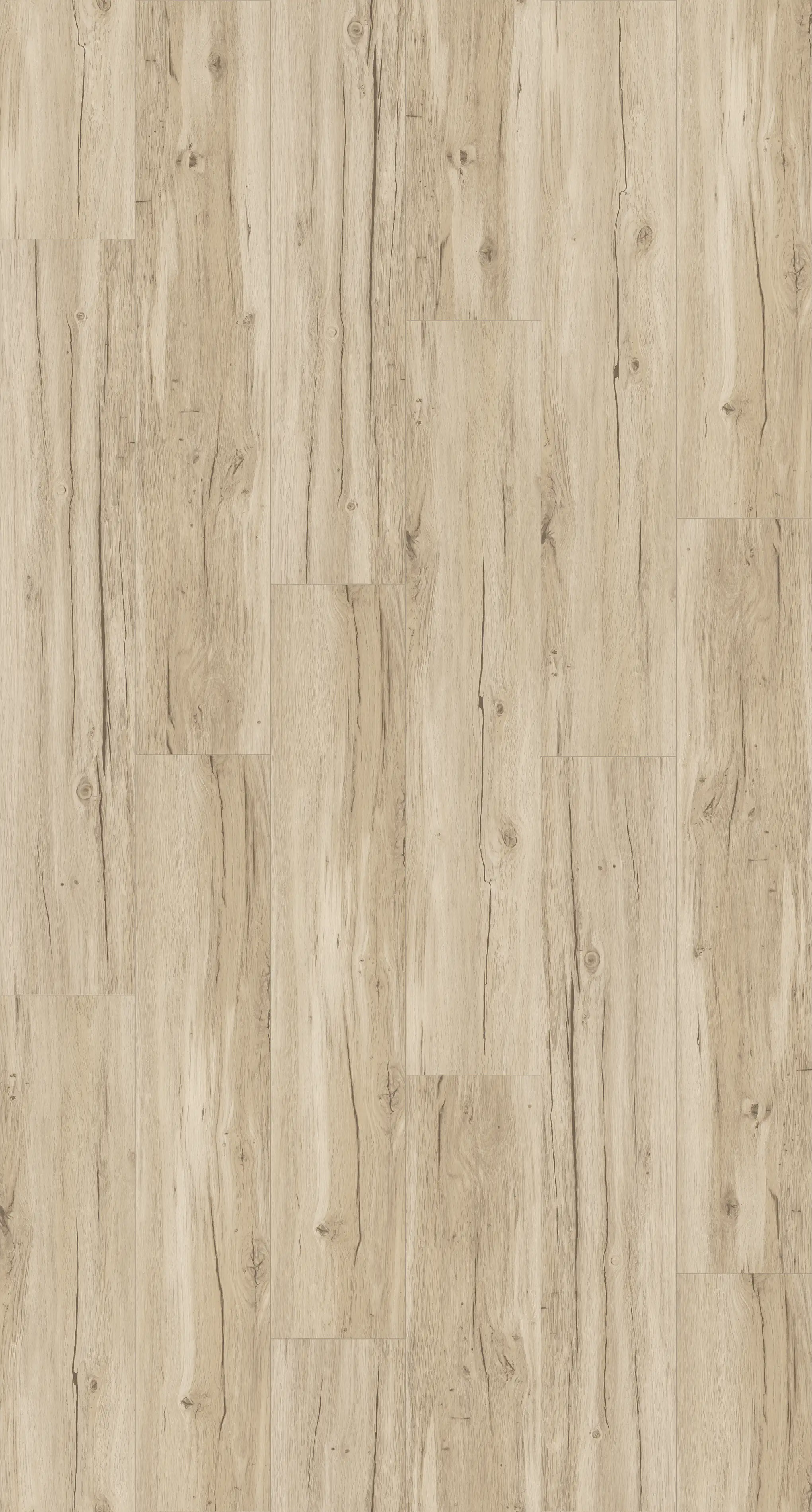 Parador Vinylboden Basic 5.3 Eiche memory geschliffen