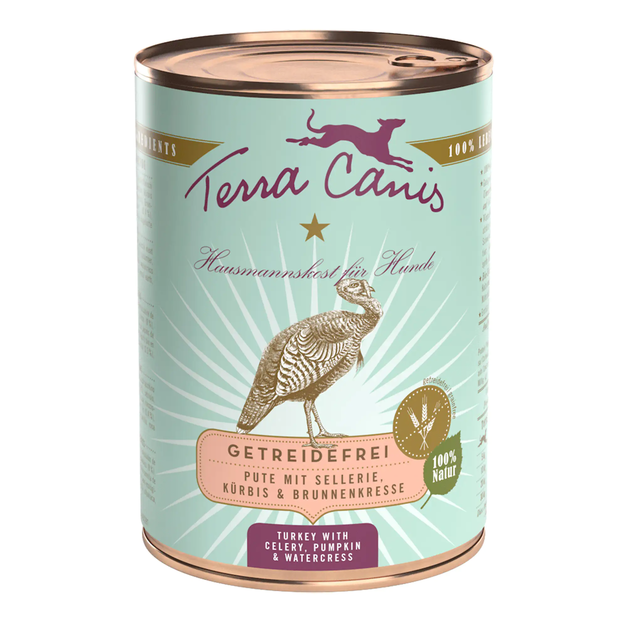 Terra Canis Geteidefrei Adult Ente mit Kürbis Erdbeeren und Holunder 400 g