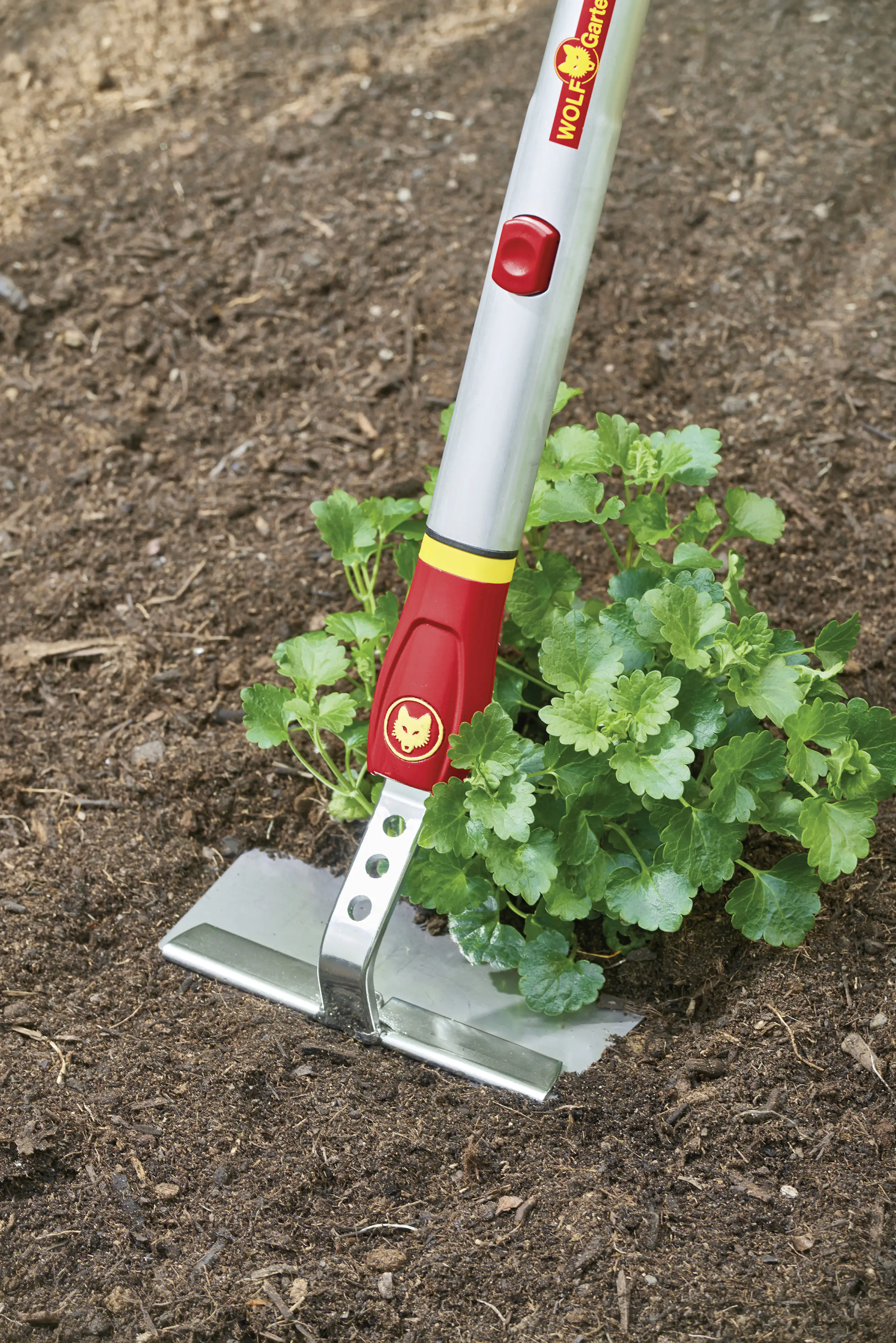 Wolf Garten Hacke HW-M 15 Multi-Star, 15 cm Arbeitsbreite
