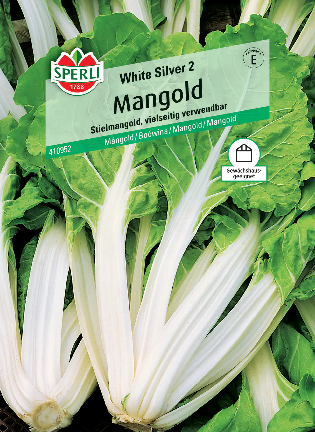 Sperli Mangold White Silver 2