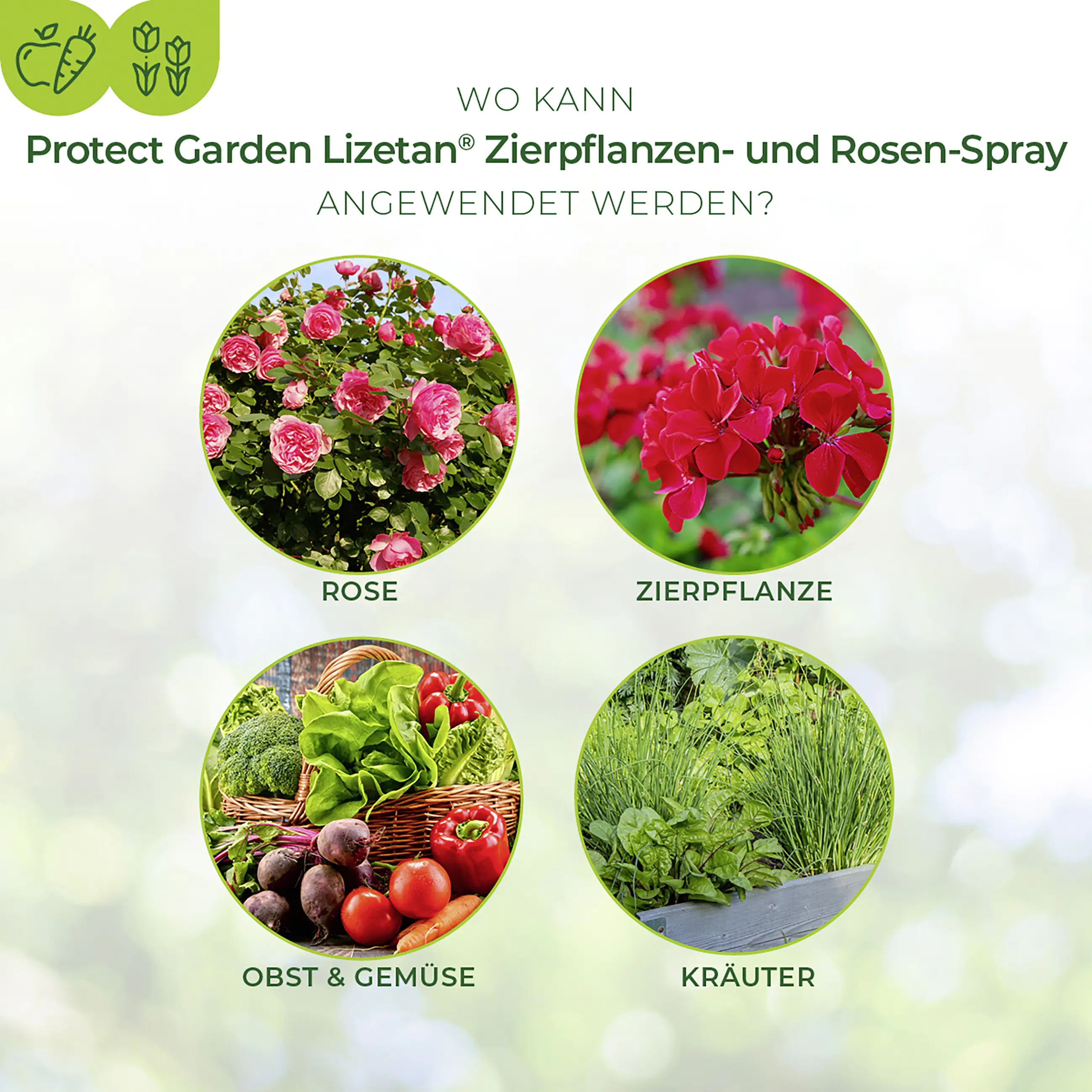 Protect Garden Lizetan Zierpflanzen- & Rosen-Spray AF 500 ml