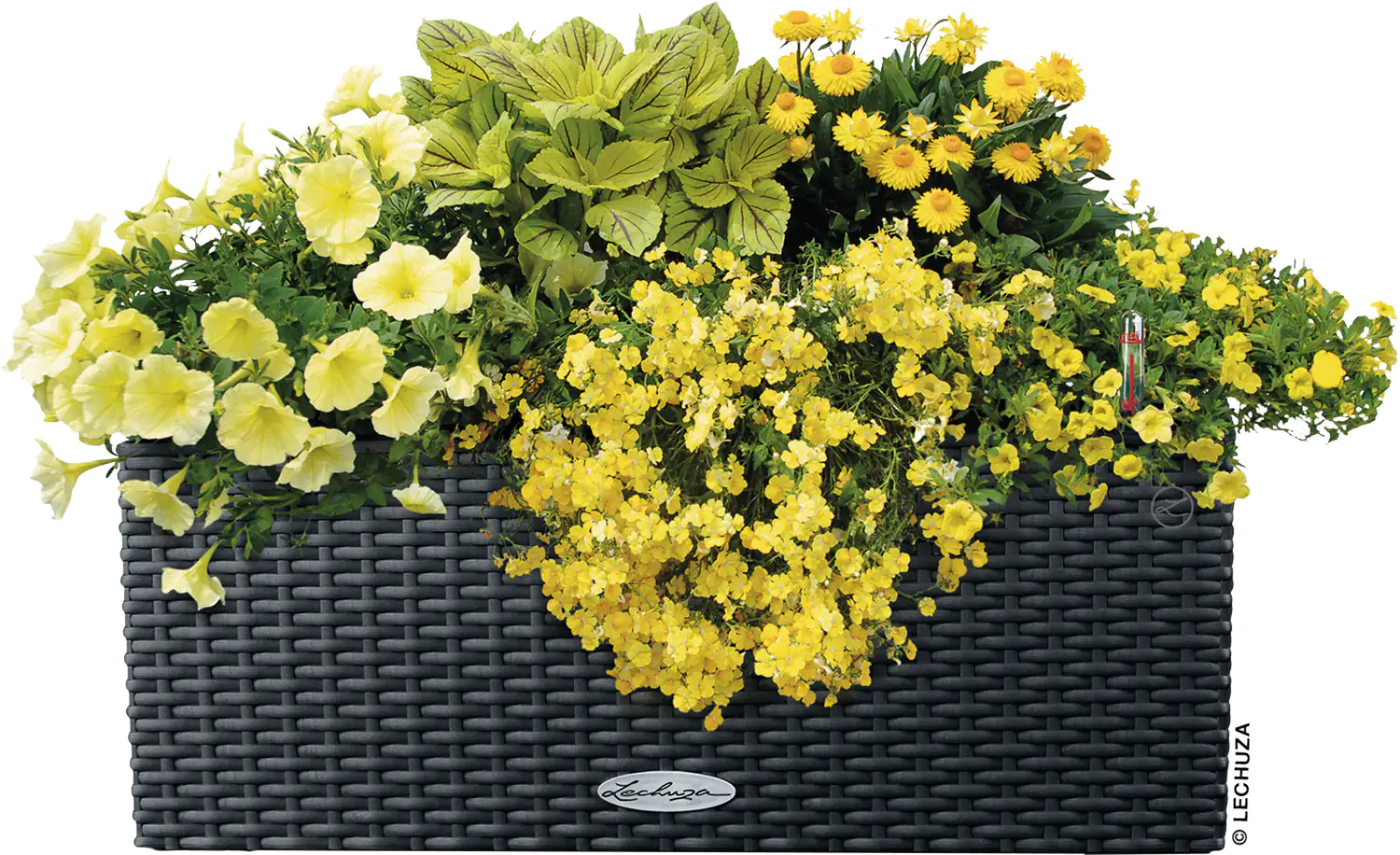 Lechuza Balkonkasten BALCONERA Cottage 50 cm, granit
