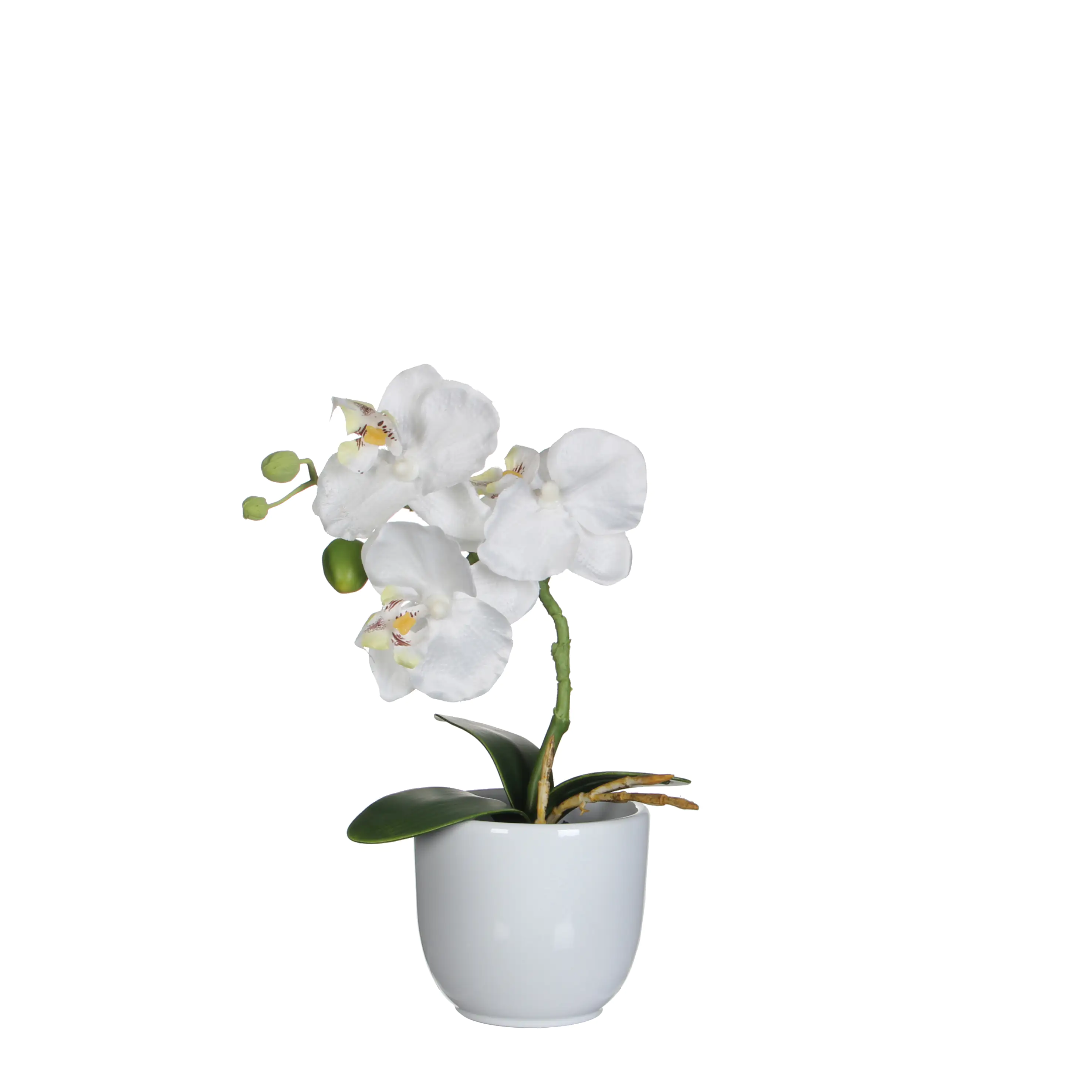 Mica Kunstpflanze Phalaenopsis im Topf weiß, 26 x 12 cm