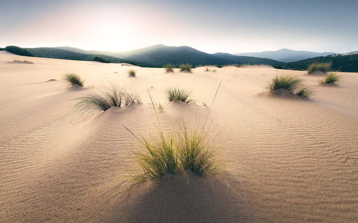 Komar Vlies Fototapete Vivid Dunes 450 x 280 cm 