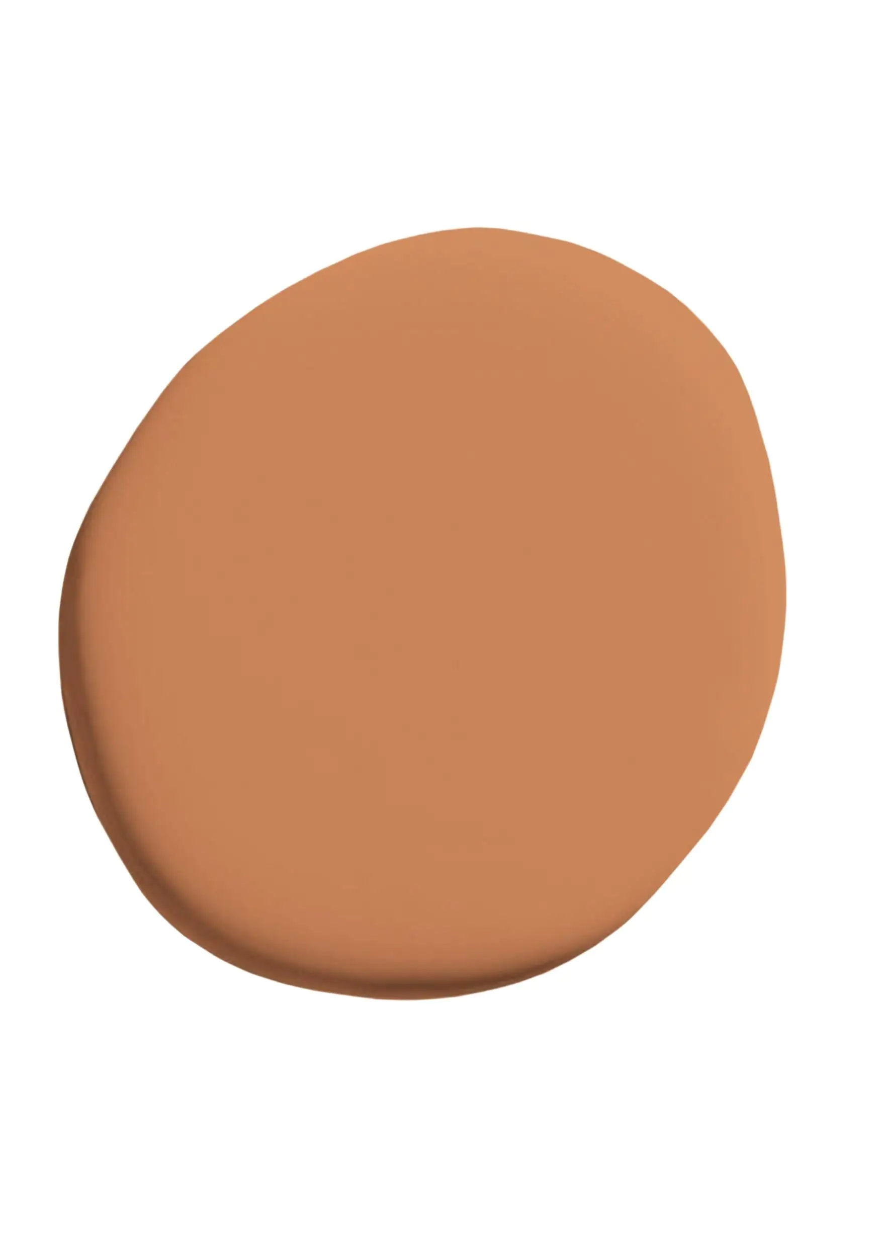 Alpina Pure Farben Wandfarbe kupferorange 2,5 L
