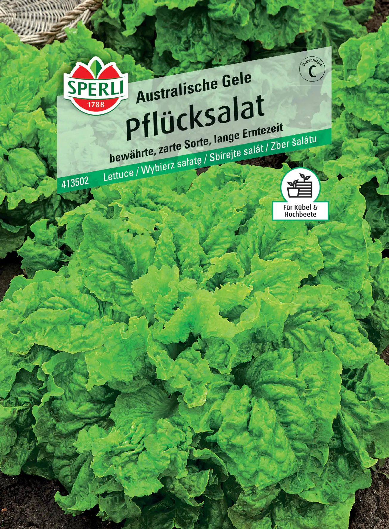 Sperli Pflücksalat Australische Gele