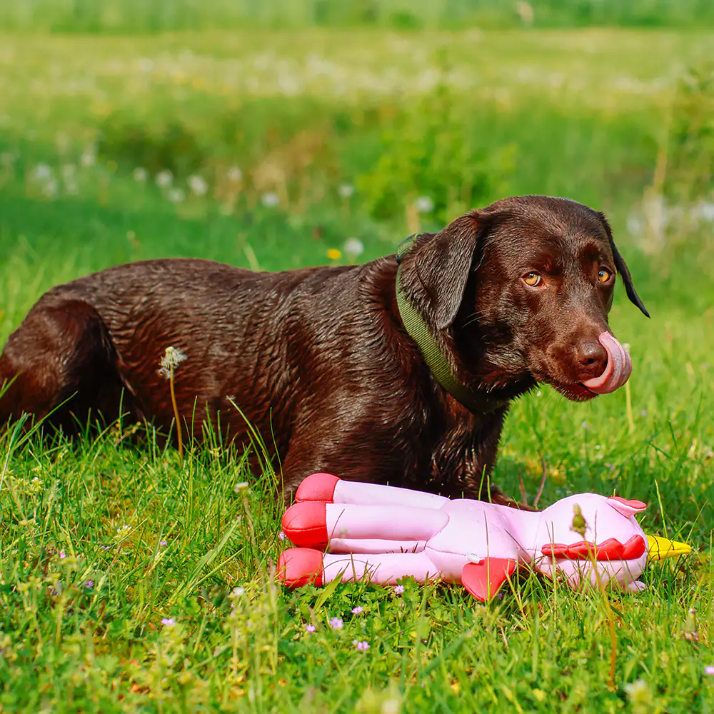 Nobby Wasserspielzeug Hund Einhorn Floating 39,5 cm rosa