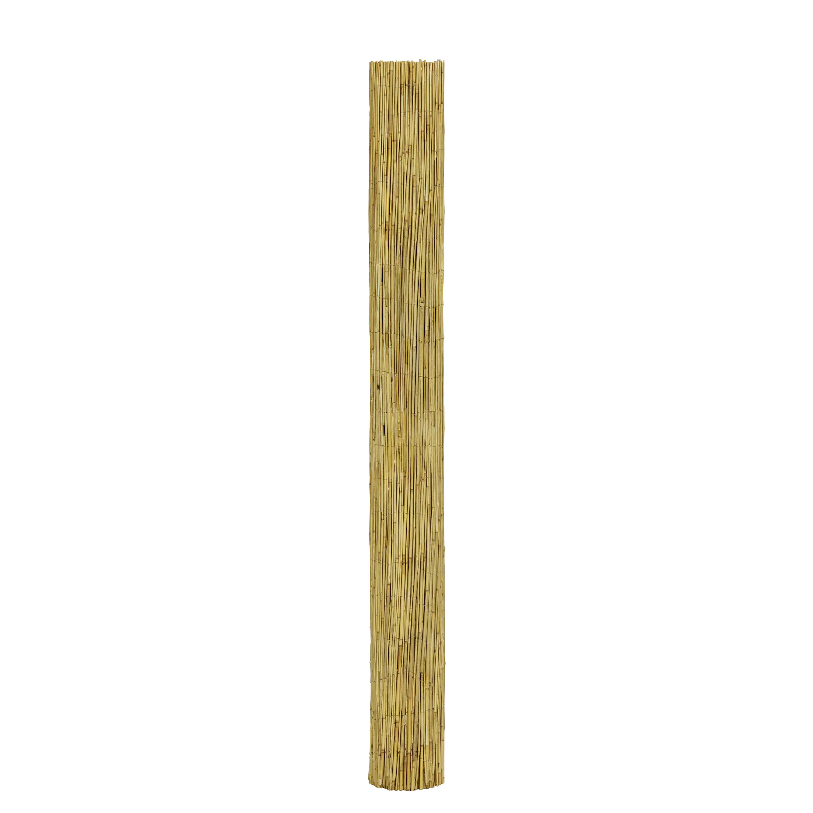 Schilfrohrmatte 6 x 1,8 m