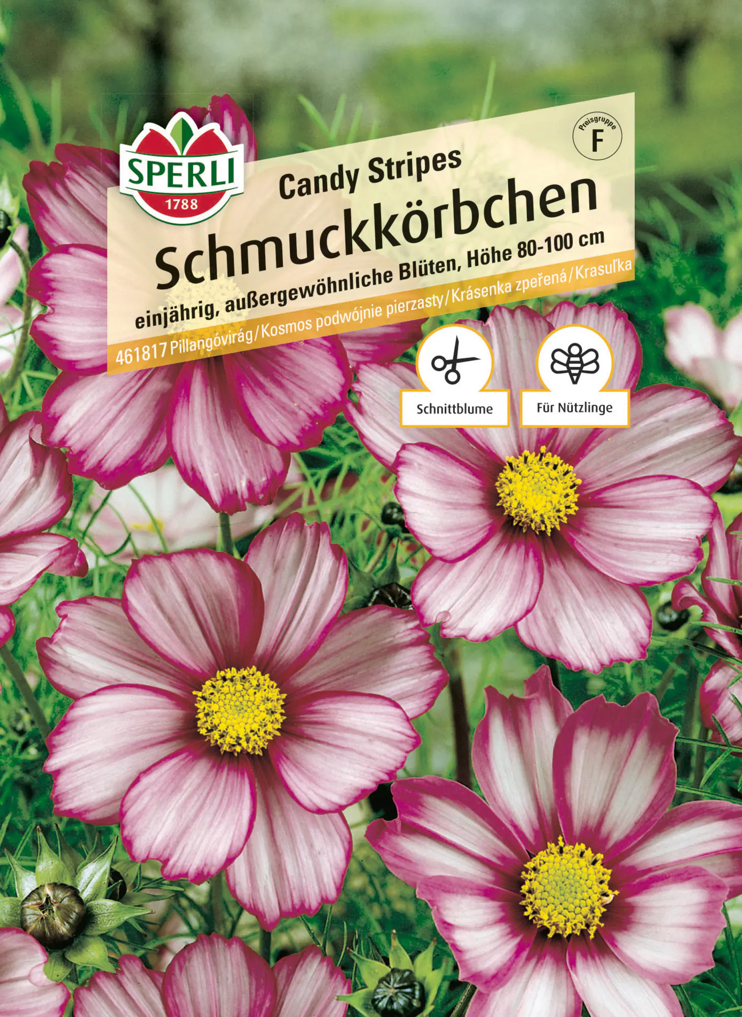 Sperli Saatgut Schmuckkörbchen Candy Stripes für ca. 30 Pflanzen