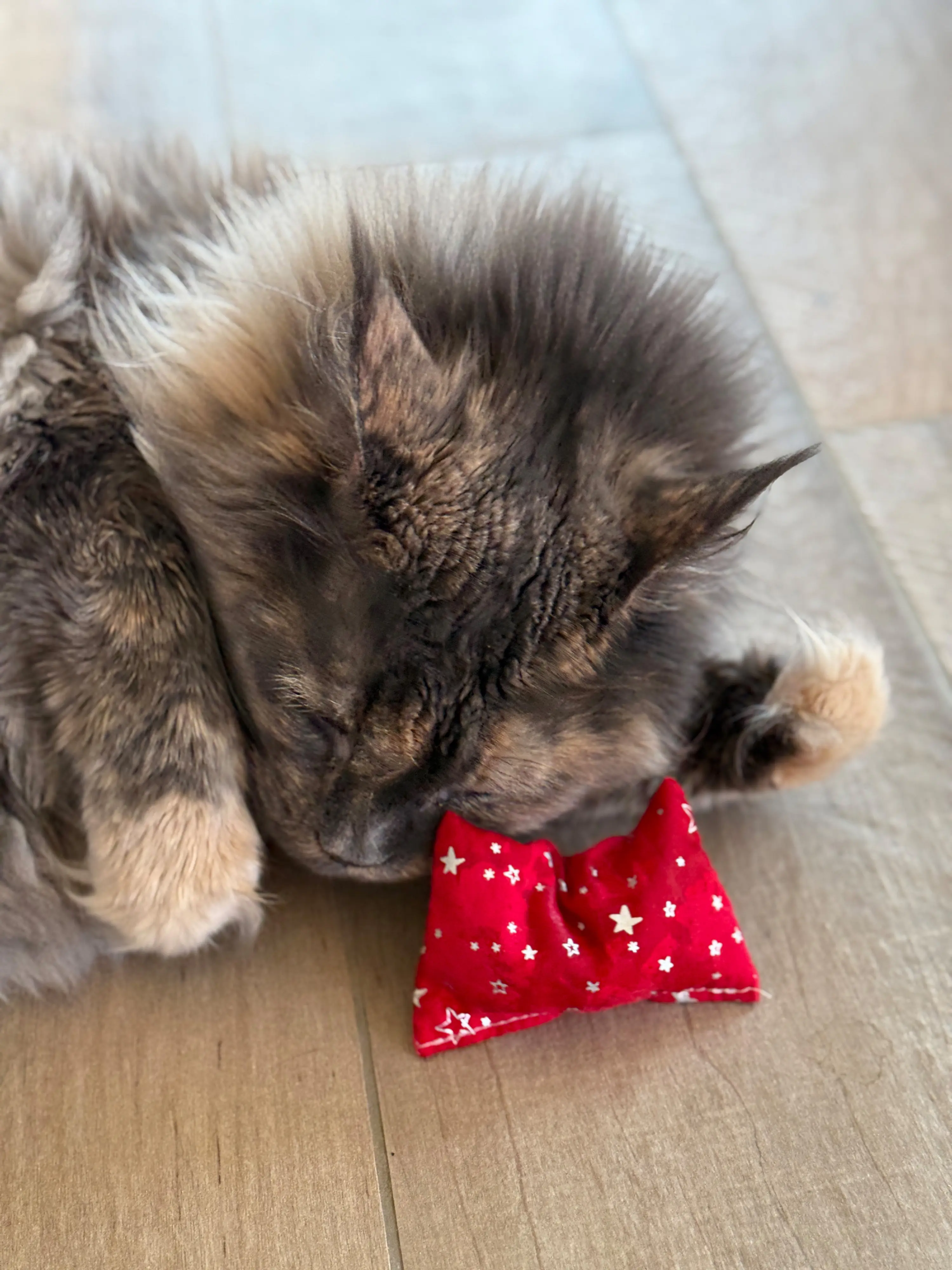 Aumüller Katzenspielzeug Weihnachten Kissen 10 cm grau rot - 2 Stk.