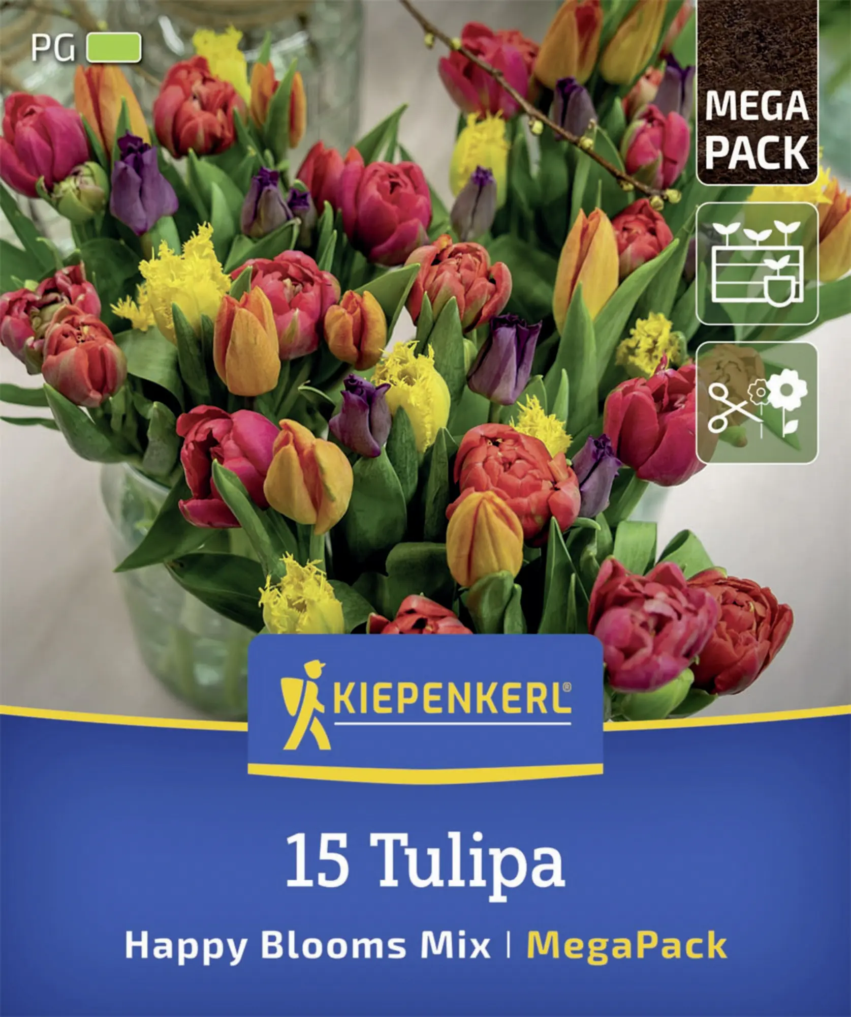 Kiepenkerl Herbstblumenzwiebelmischung Mega-Pack Tulpen Happy Bloom Mix 15 Stück