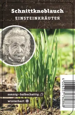 Einsteinkräuter - Schnittknoblauch 12 cm Topf