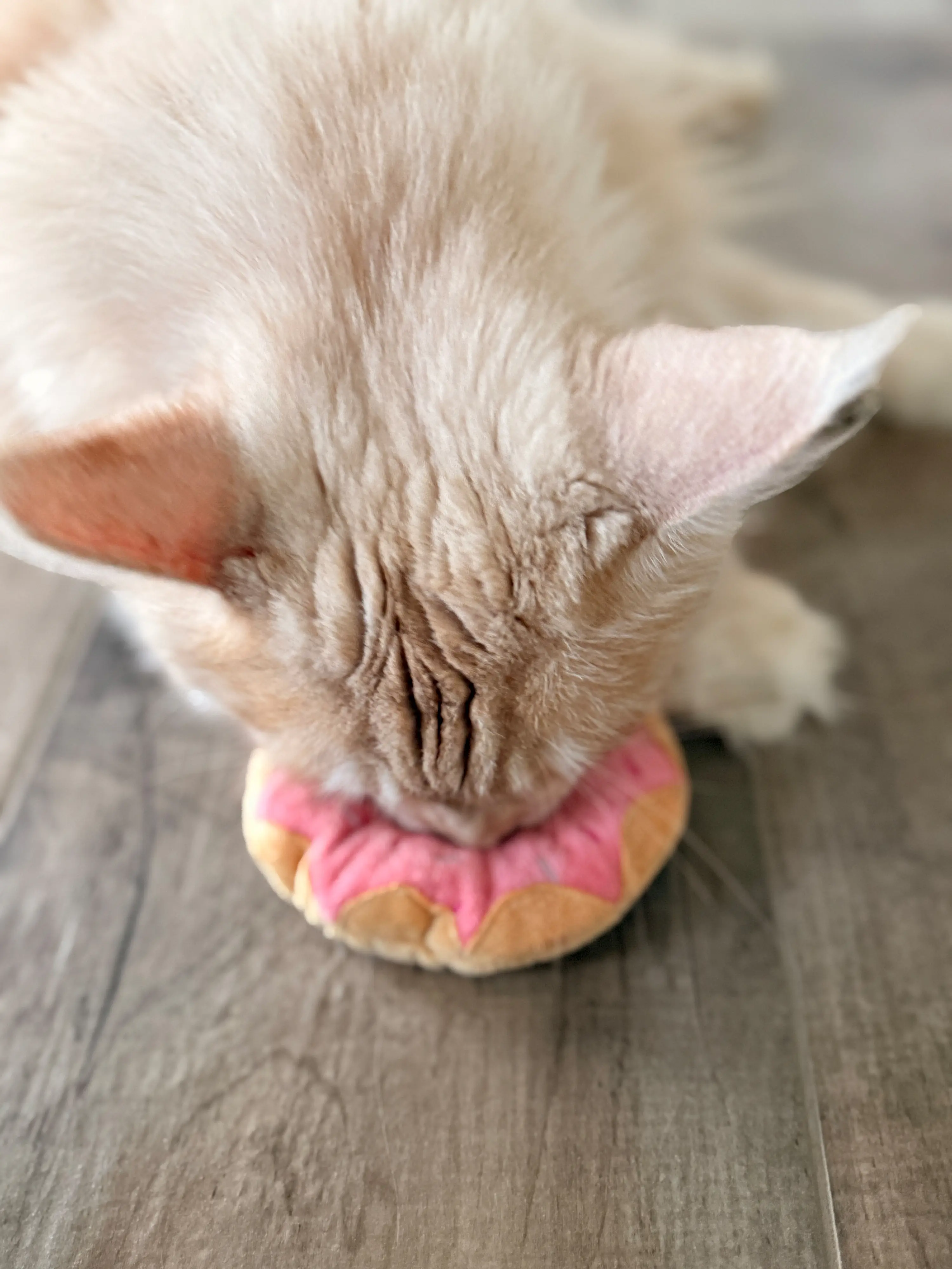 Aumüller Katzenspielzeug Donut Himbeere Ø 11 x 3,5 cm rosa/hellbraun 