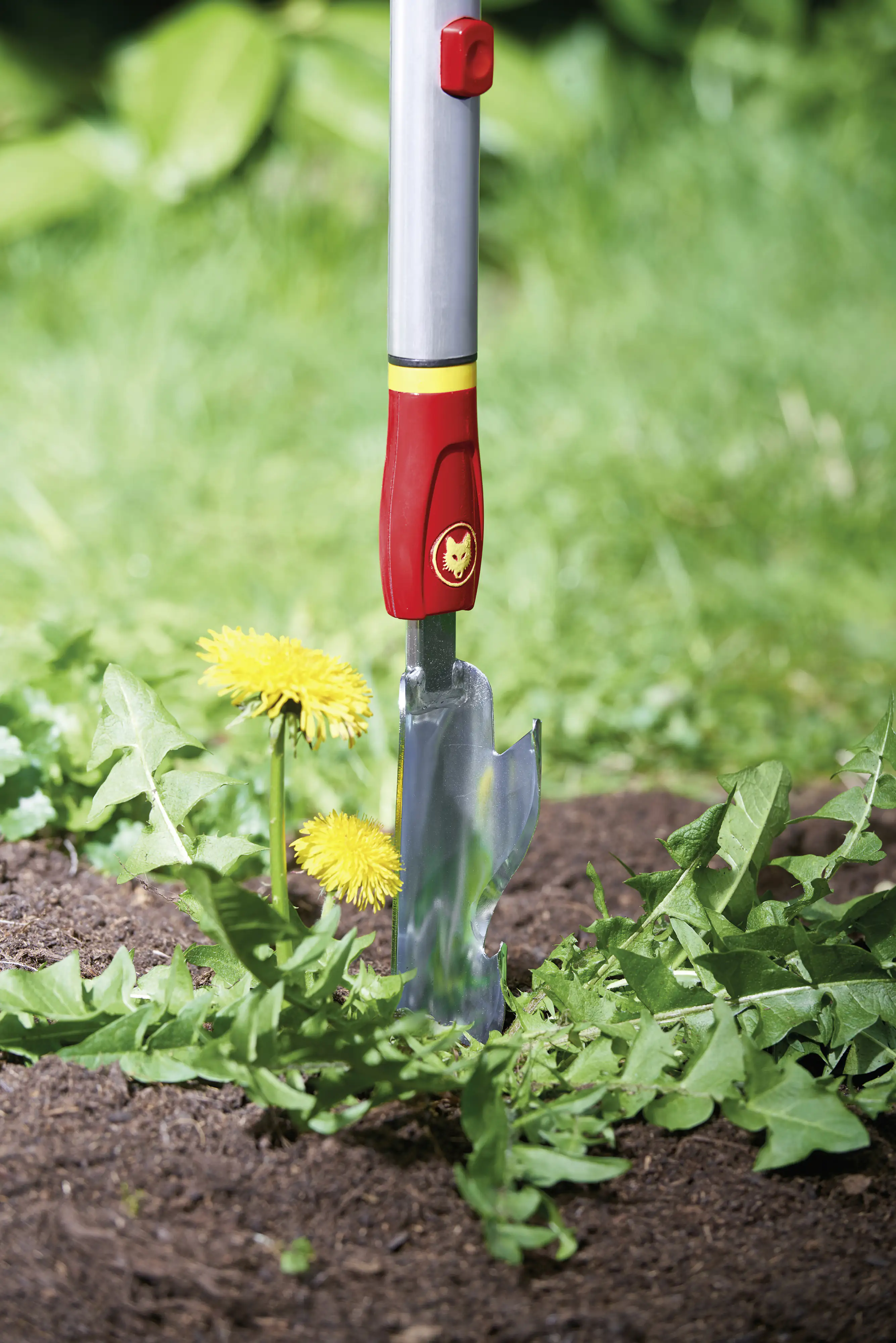 Wolf Garten Distelstecher IW-M 4 cm Arbeitsbreite