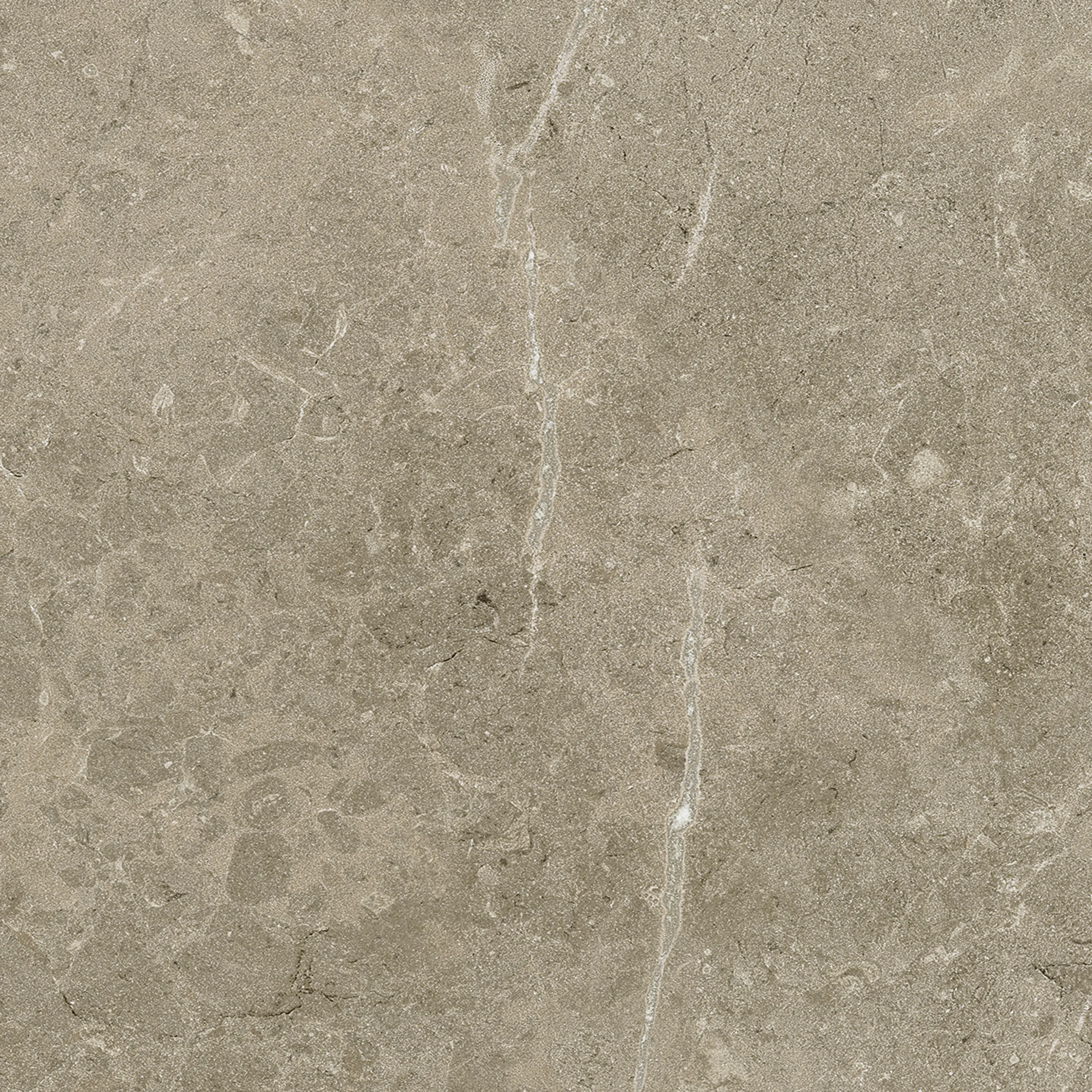 Terrassenplatte Botticino 60 x 60 cm Taupe