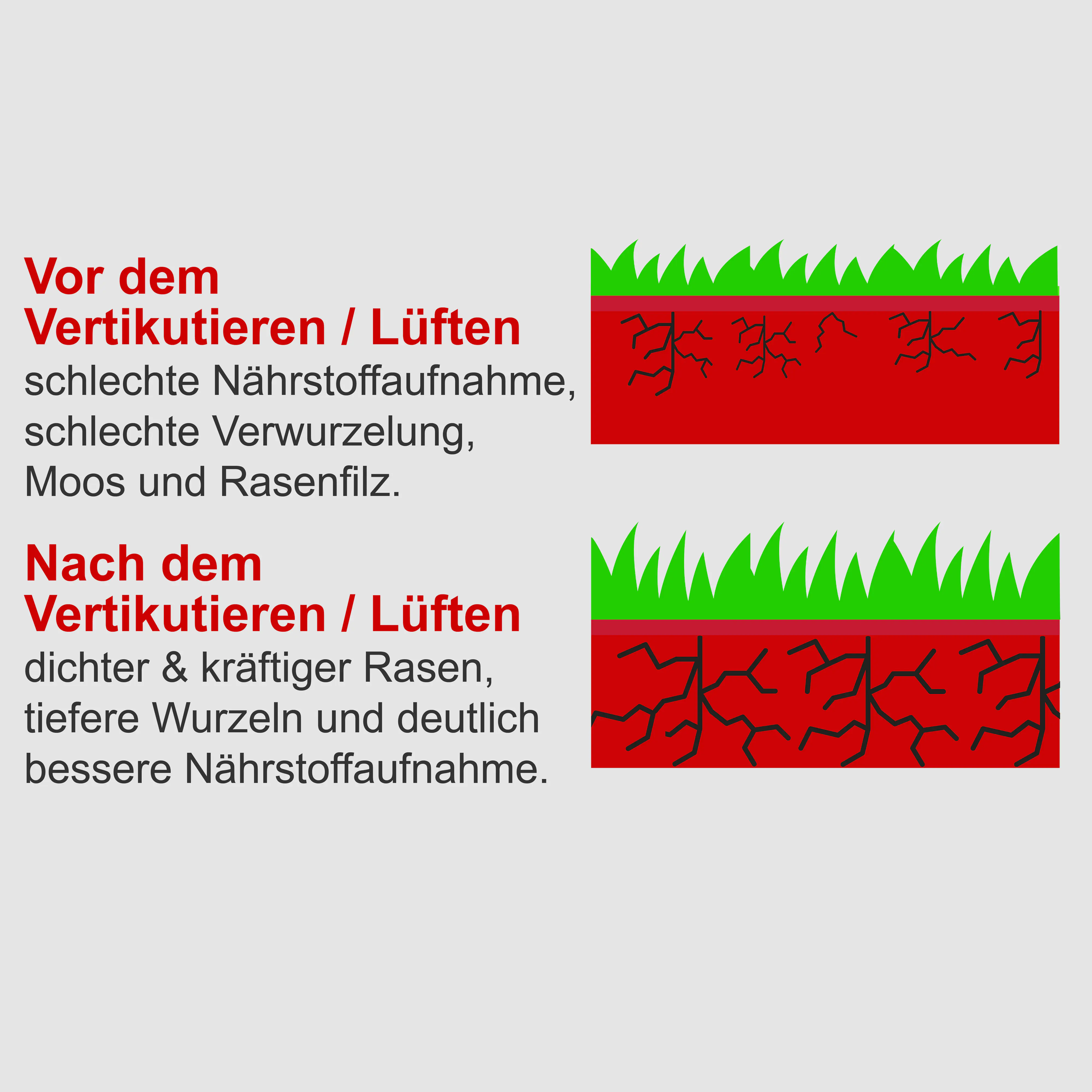 Scheppach Benzin-Vertikutierer SC55P 40 cm Arbeitsbreite