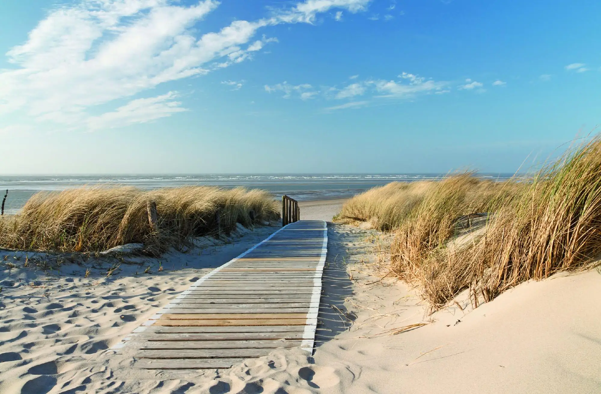 Deco-Canvas Bild - Sea Breeze 116 x 76 cm