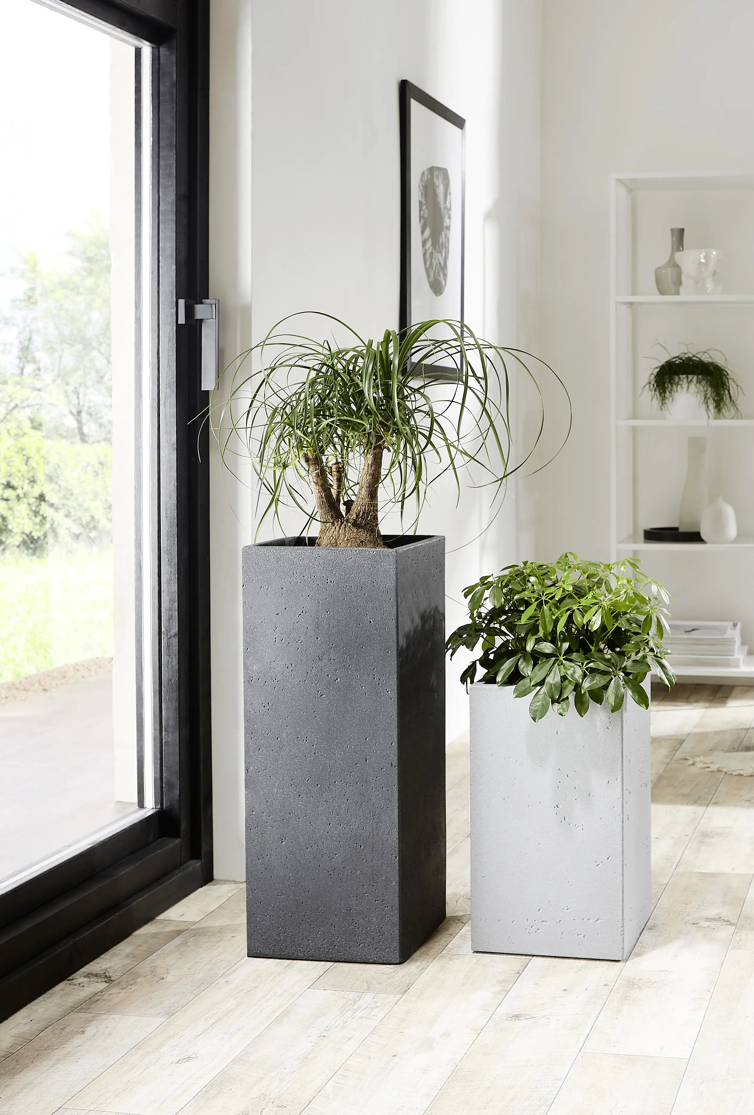 Scheurich Pflanzgefäß C-Cube High Serie 240 granit grau 70 cm