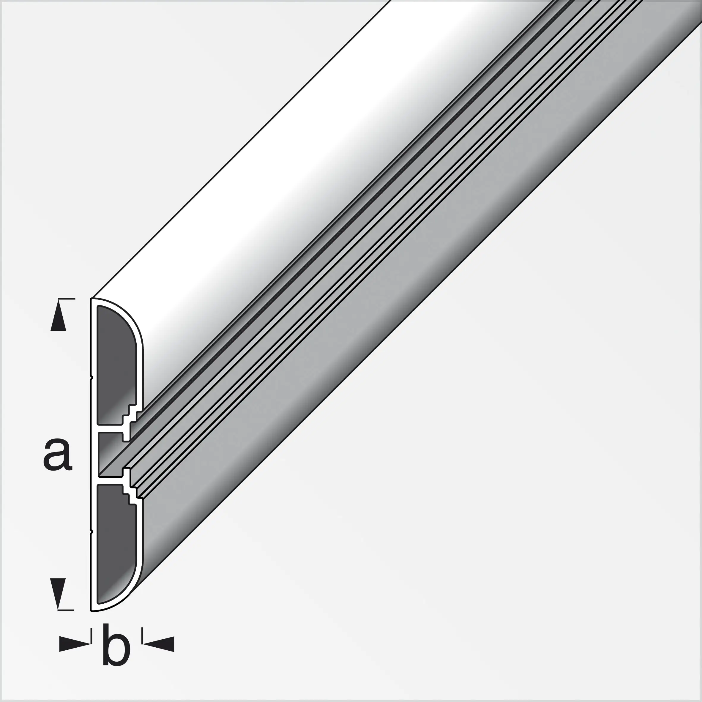 coaxis®-Profil, breit 1 m, 60 x 10 mm Aluminium eloxiert silber