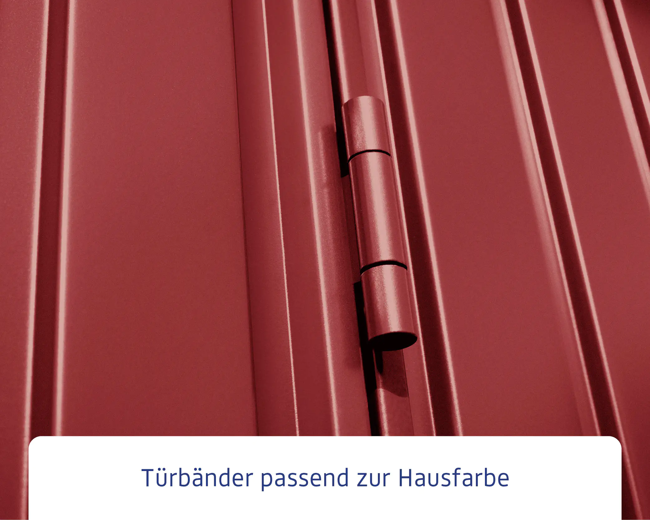 EcoStar Gerätehaus Trend-S Typ 2 258,8 x 247,7 x 216 cm v